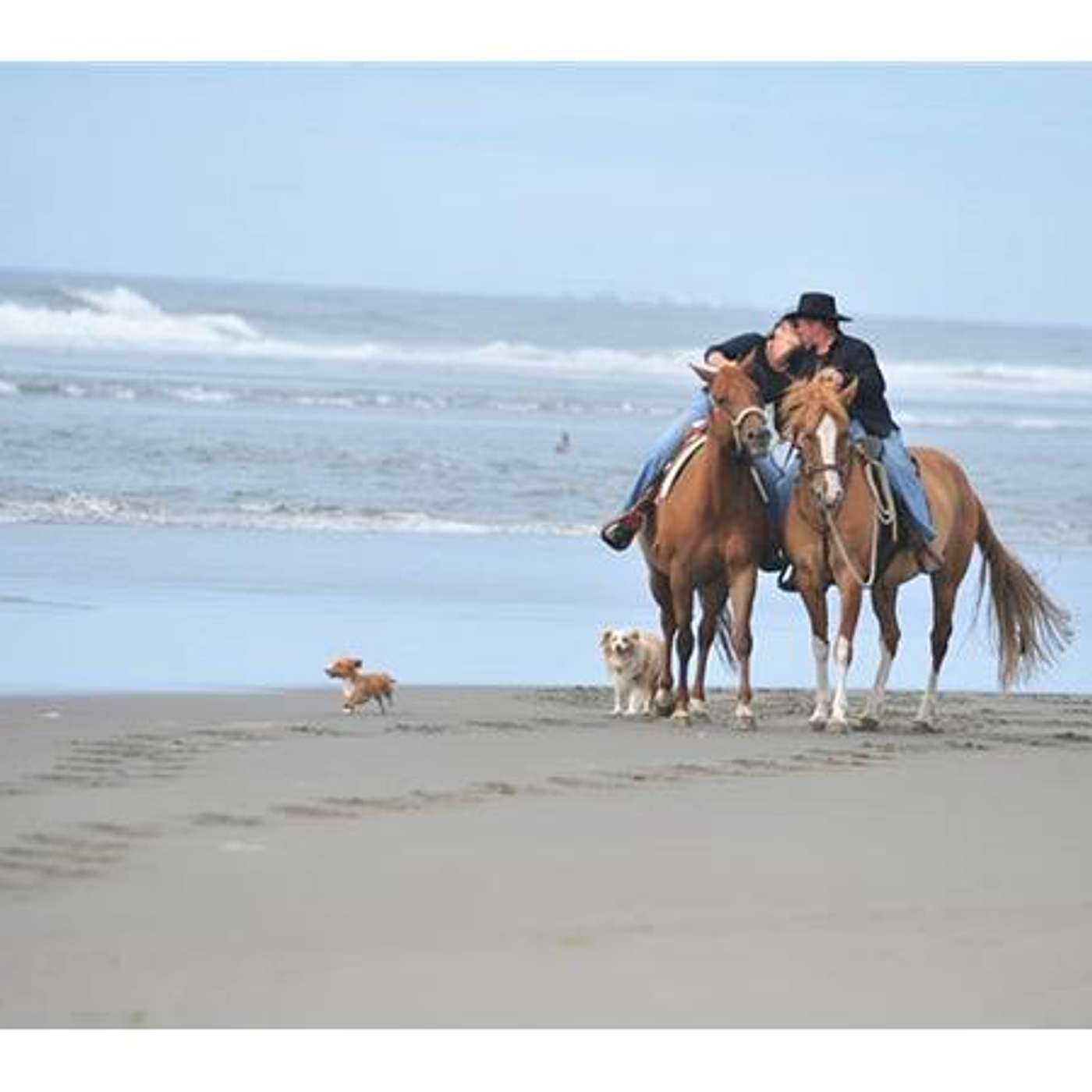 Equestrian Legacy Radio