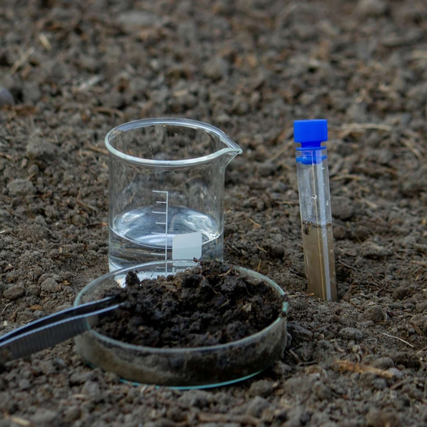 Prescott Valley Soil Testing Near Fain Road Explained