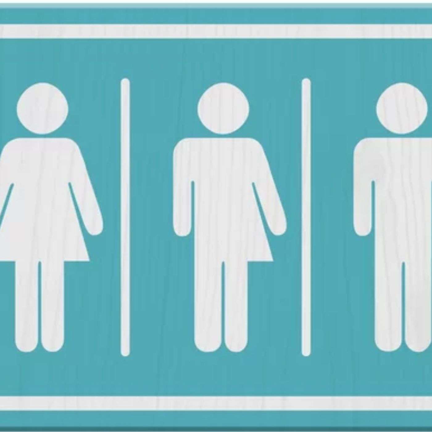 EPISODE  33: Is Transgender an Actual Gender??? episode artwork