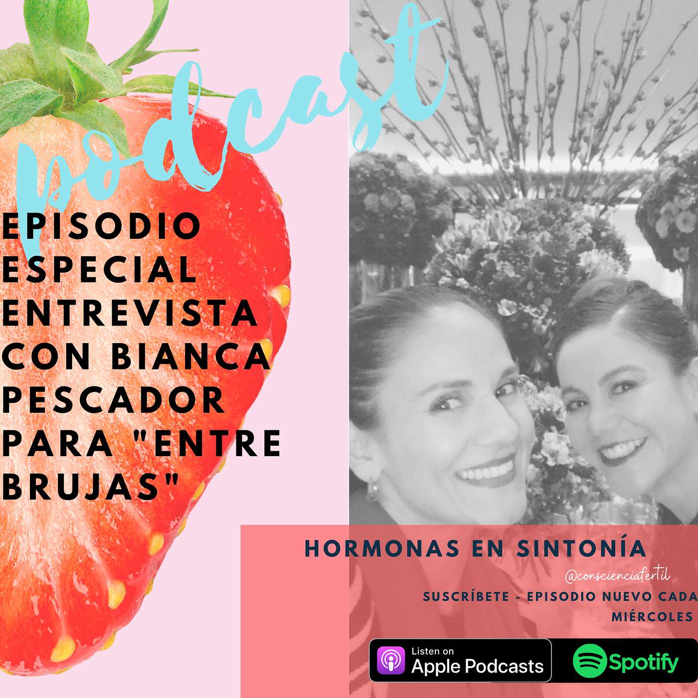 Hormonas en Sintonía