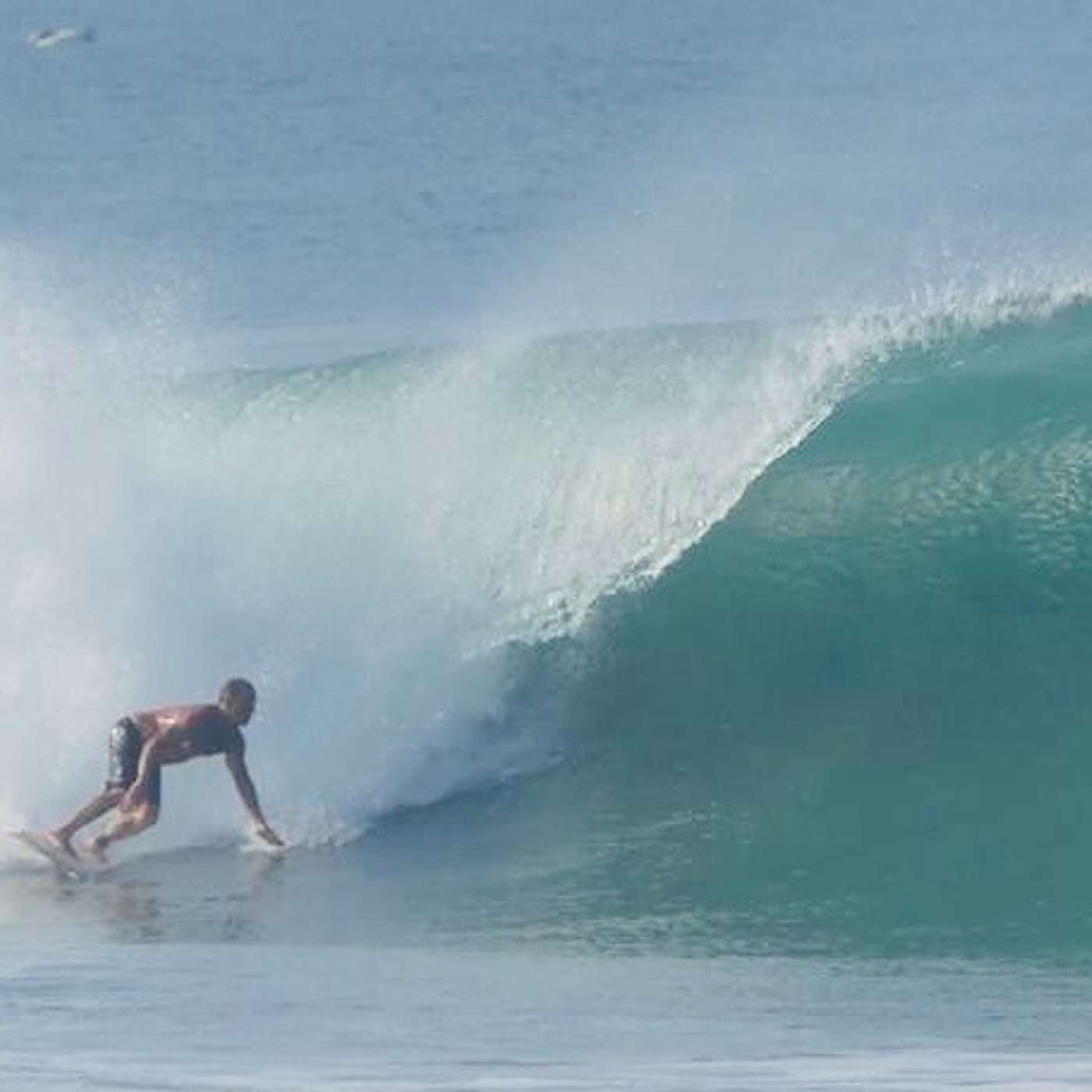 Wilding Fifty: Surf Tales