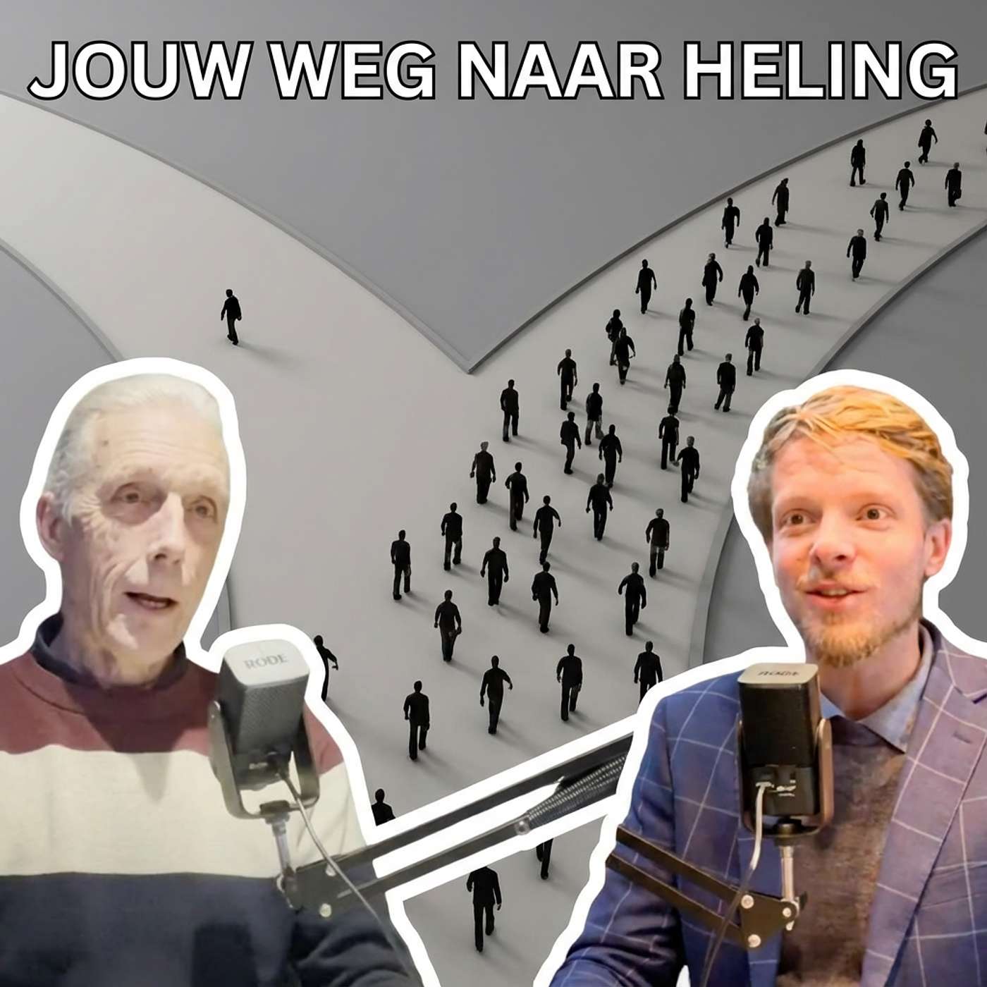 De Oplossing: De Gameplan Voor Onderbewuste Trauma's & Zielsschade! Podcast #59 Daniel Derweduwen episode artwork