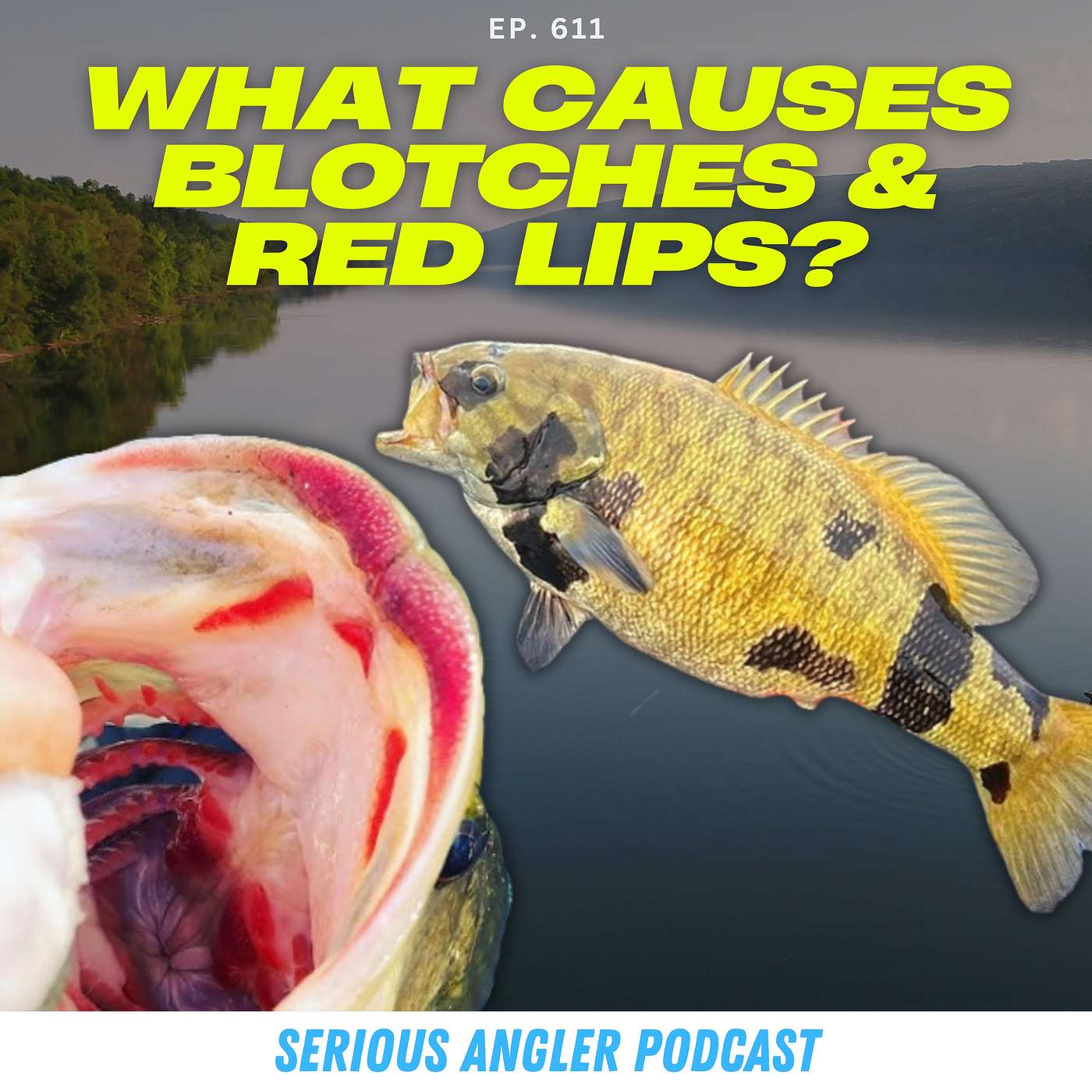 Why Do Bass Get Red Lips and Black Spots? Biologist Explains...