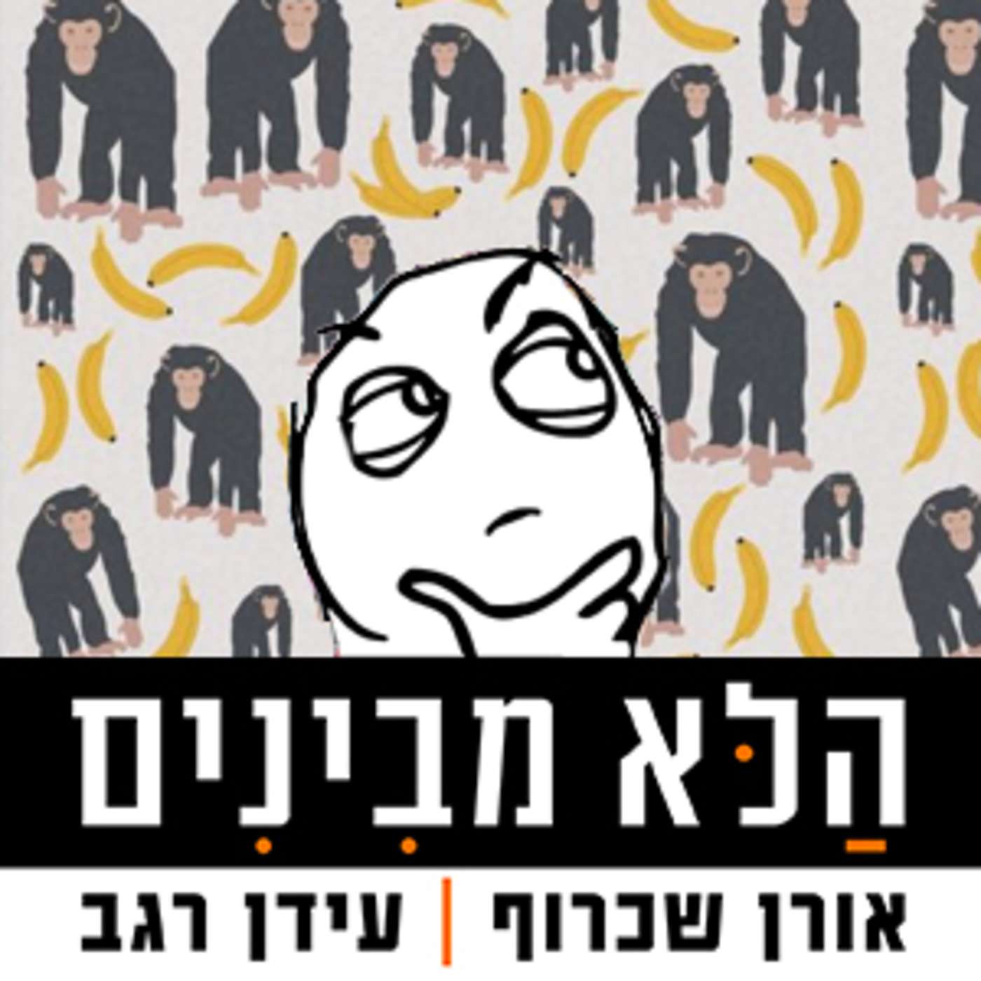 פרק 26 - שימפנזות דולפינים ורפיח
