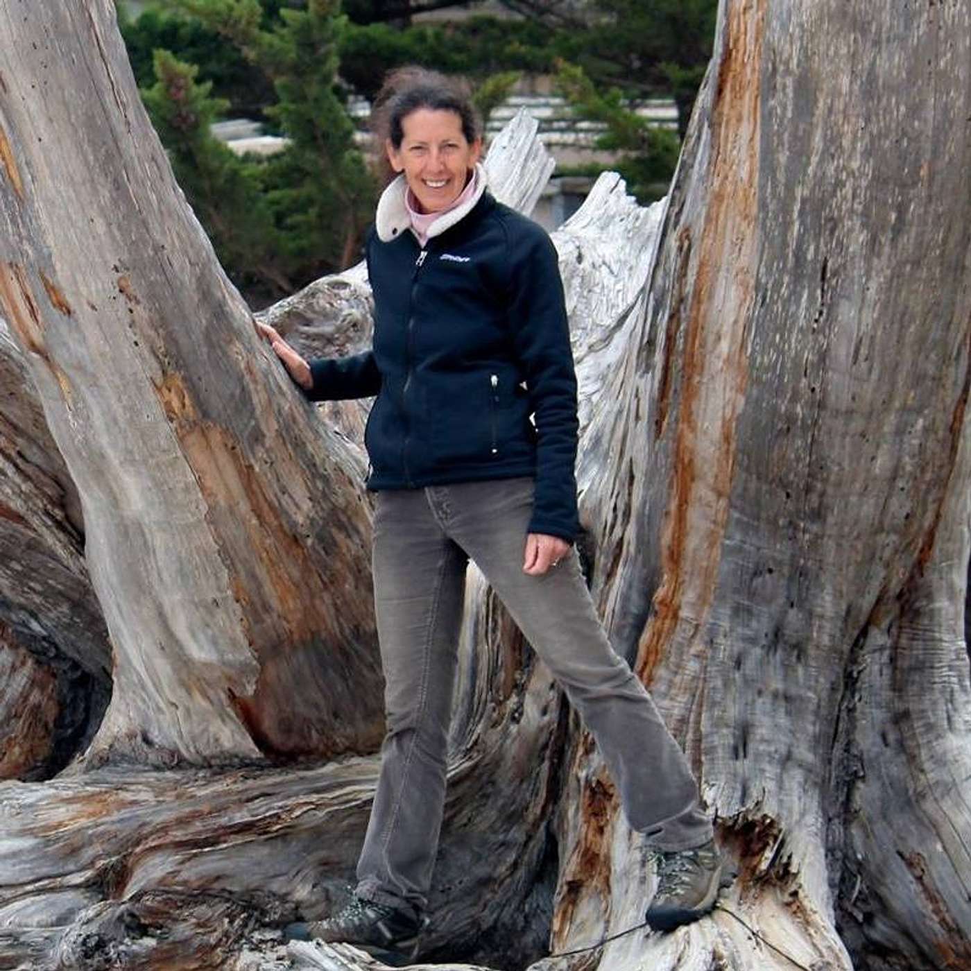 The Canine Ed Aus Podcast