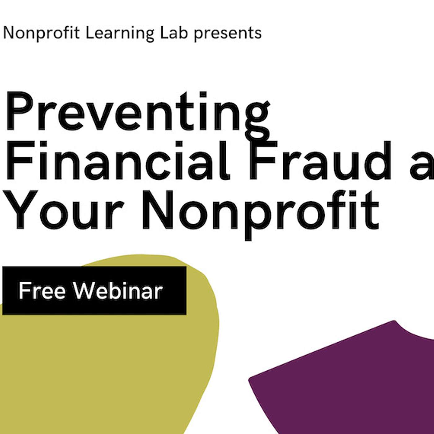 Preventing Financial Fraud at Your Nonprofit pt 2