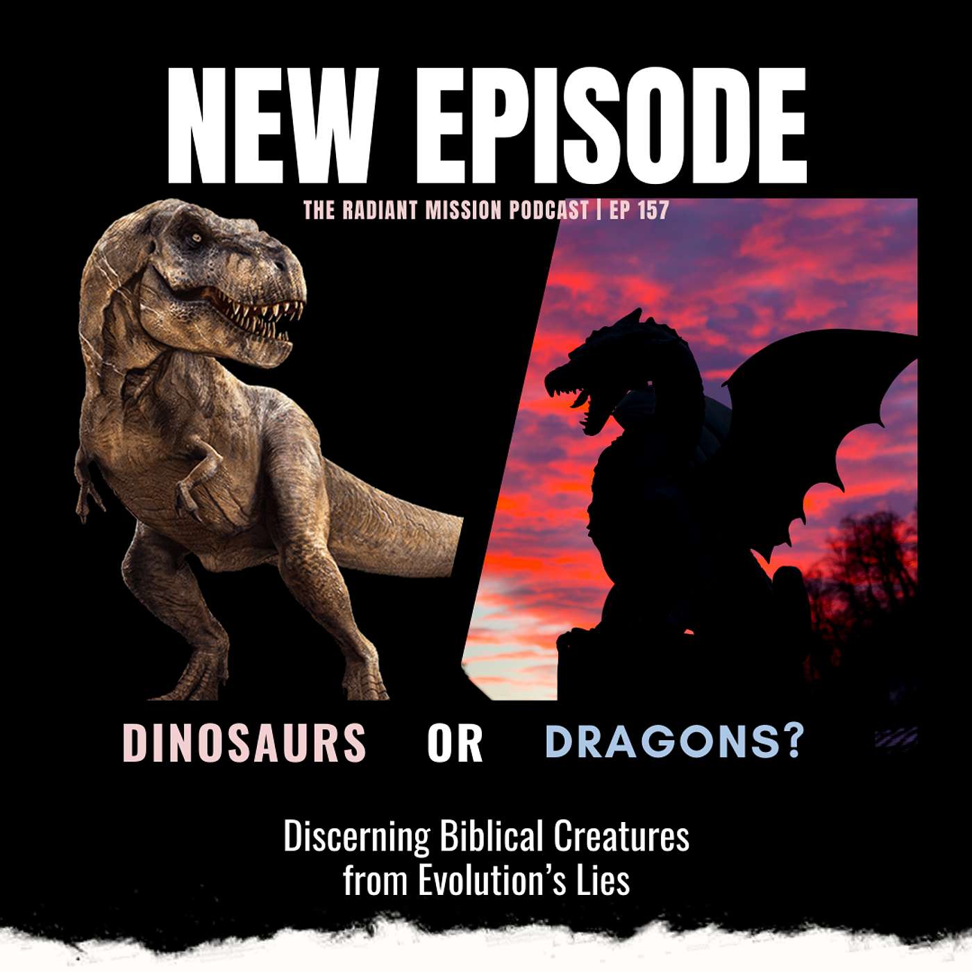 157. Dinosaurs or Dragons? Discerning Biblical Creatures from Evolution’s Lies 157. Dinosaurs or Dragons? Discerning Biblical Creatures from Evolution’s Lies