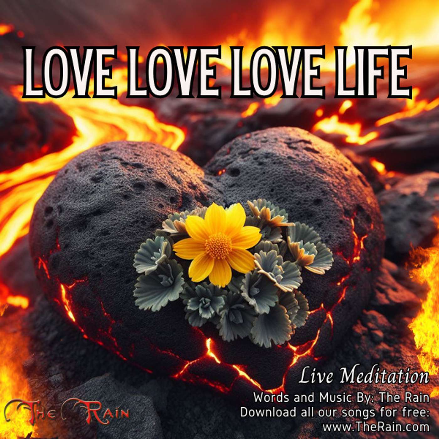 Love Love Love Life - Live Meditation