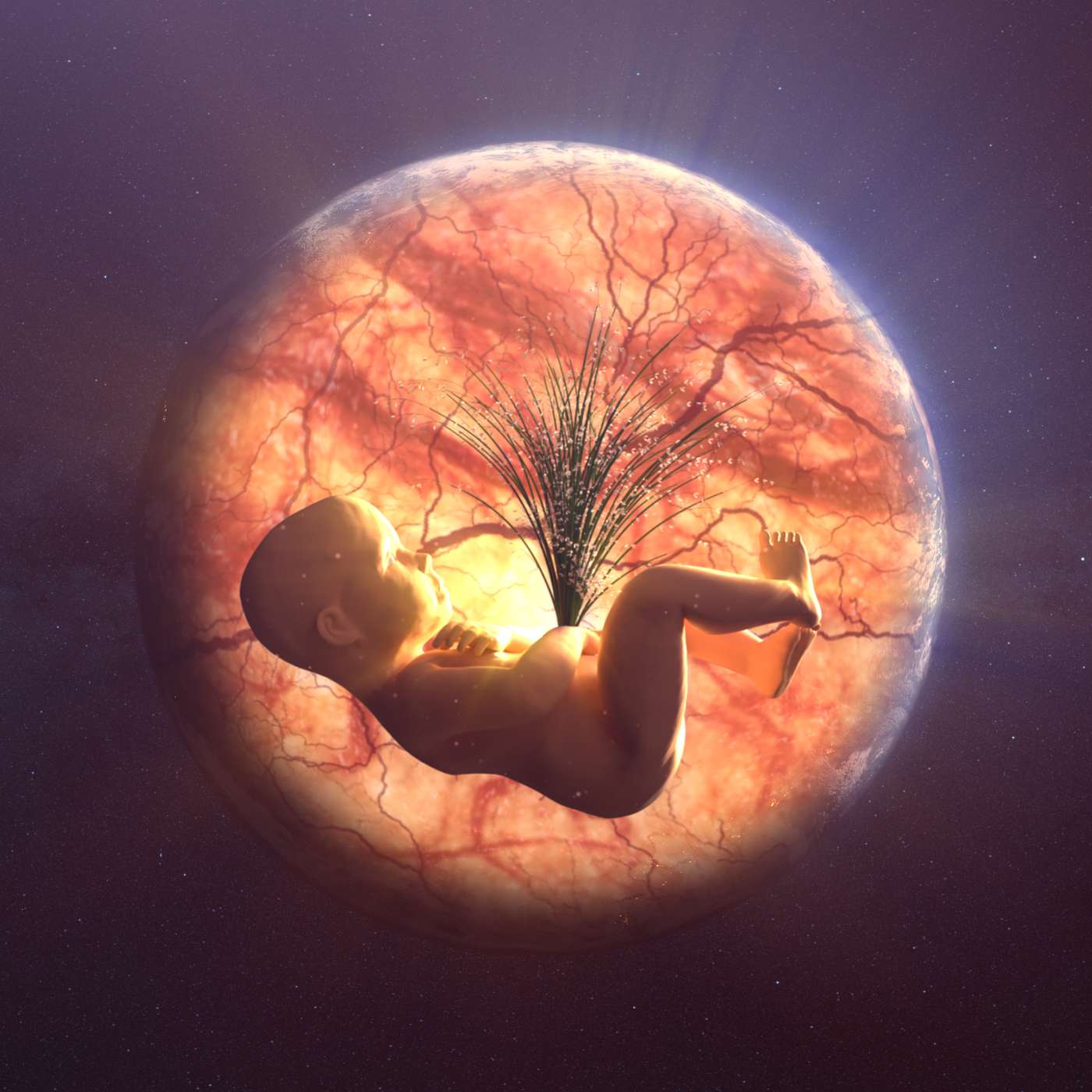 The Rise of King Asilas