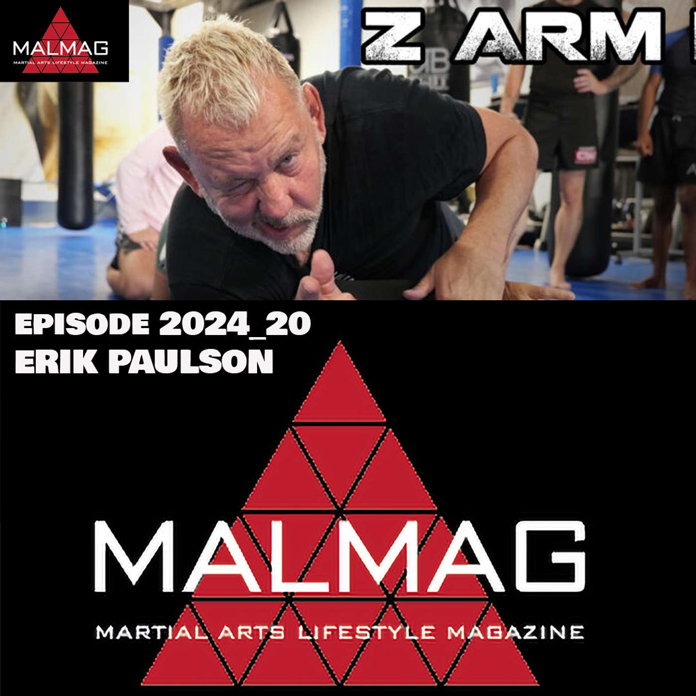 The Martial Arts Lifestyle Podcast