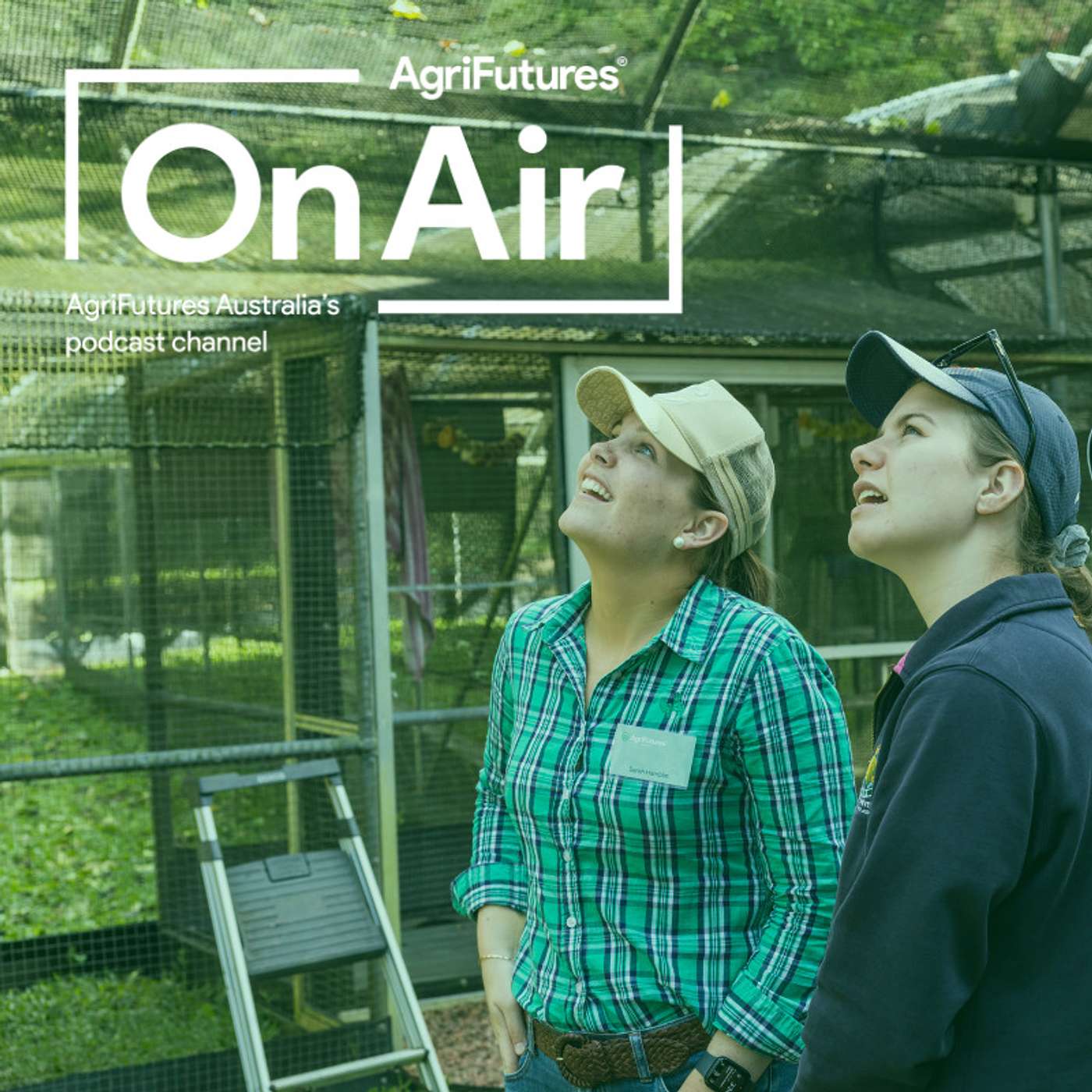 What do young people have to say about the future of agriculture?