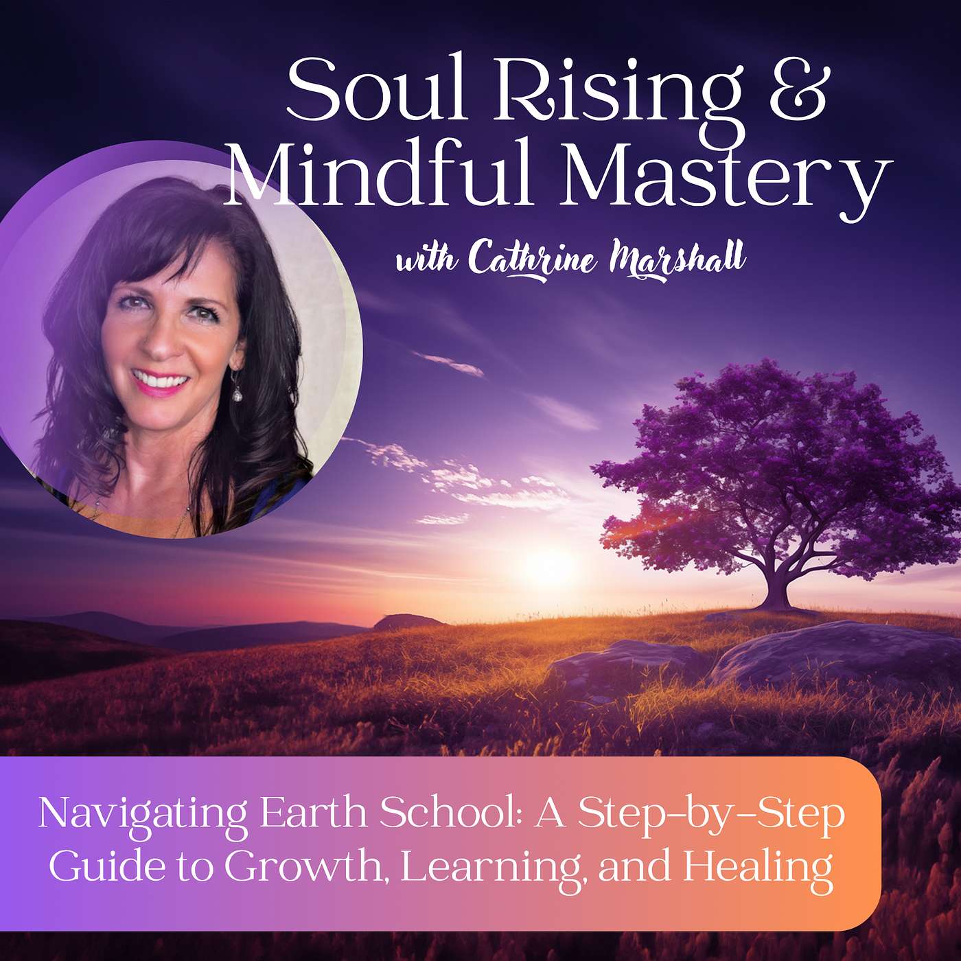 E 29: Navigating Earth School: A Step-by-Step Guide to Growth, Learning, and Healing E 29: Navigating Earth School: A Step-by-Step Guide to Growth, Learning, and Healing