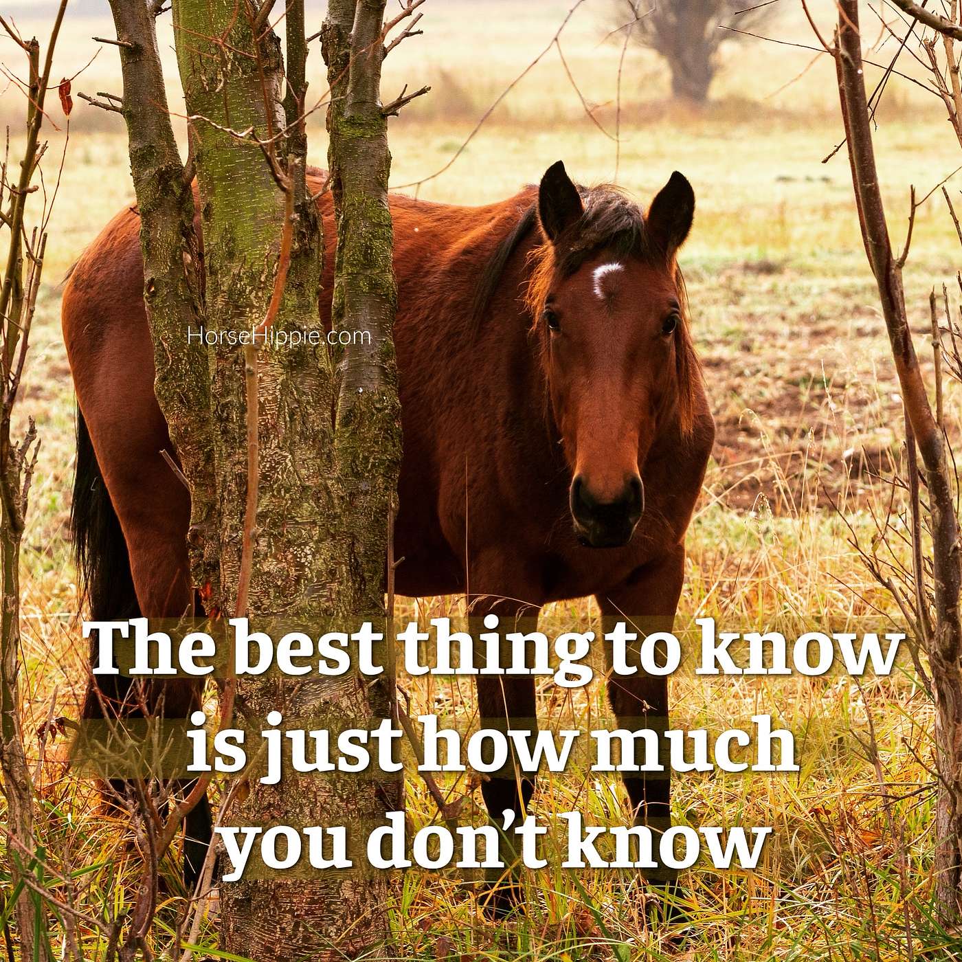 Not Knowing The Answer