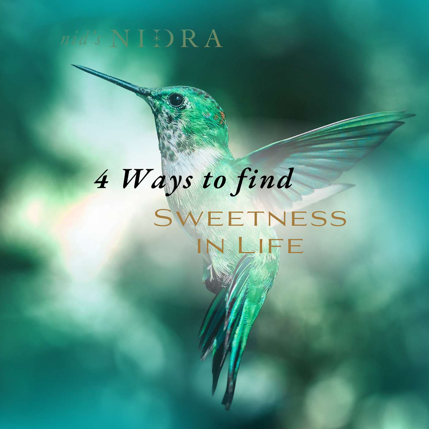 Nid\'s Nidra