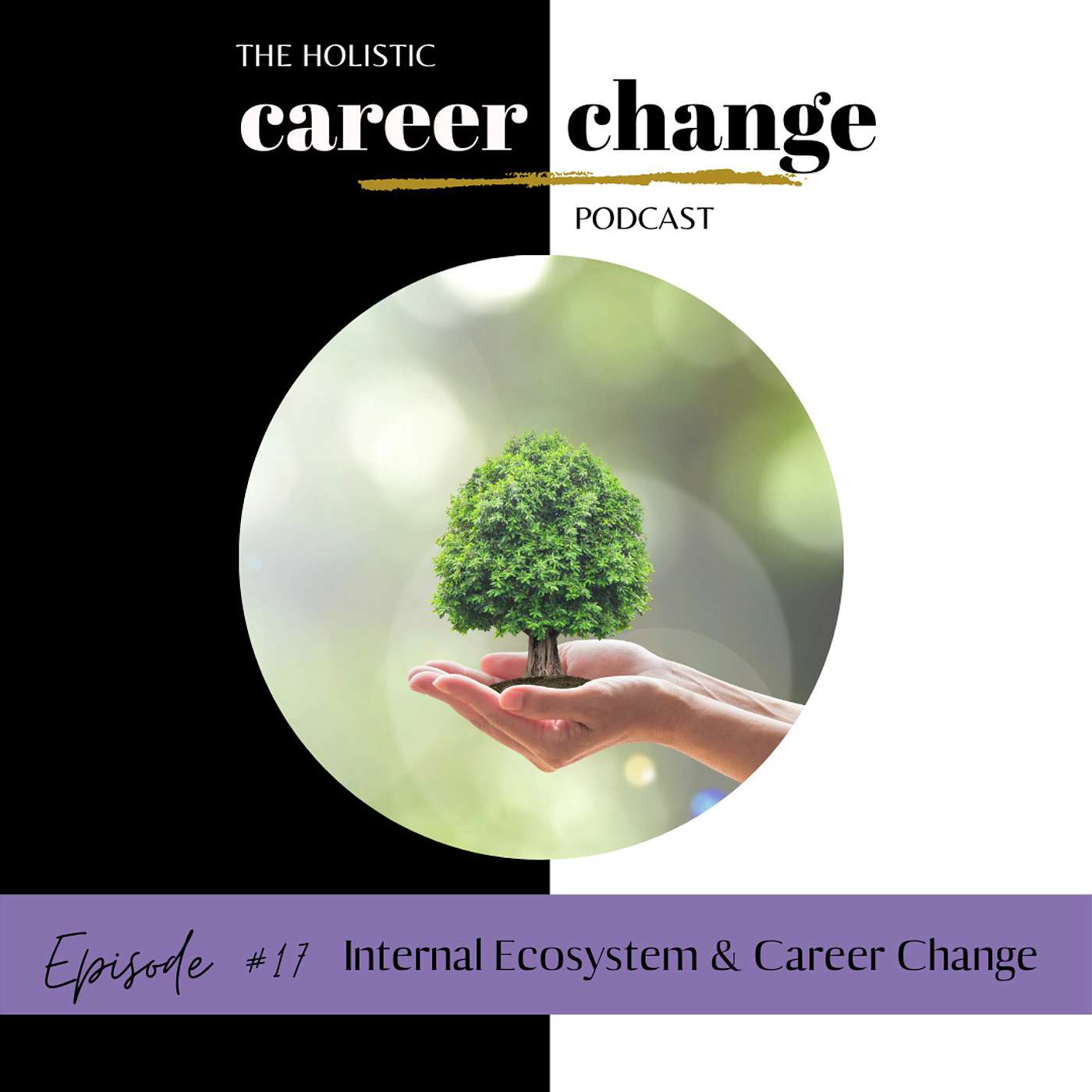 Holistic Career Change