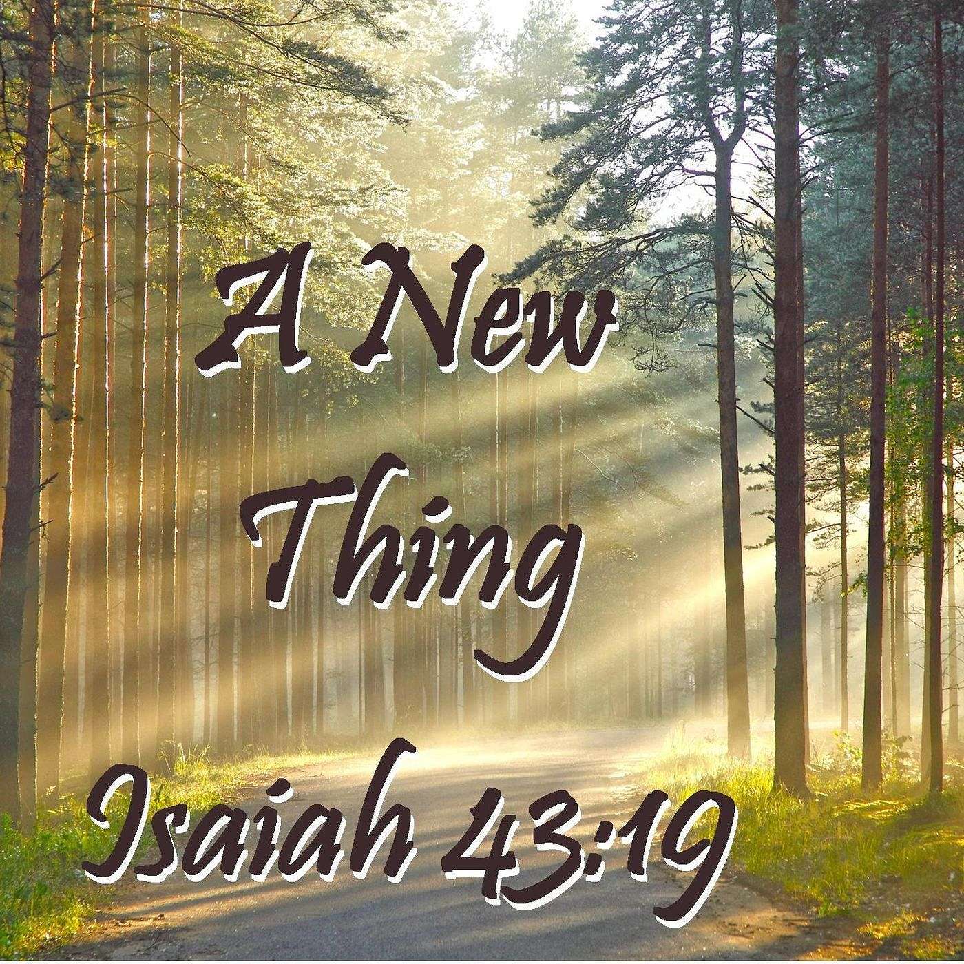A New Thing