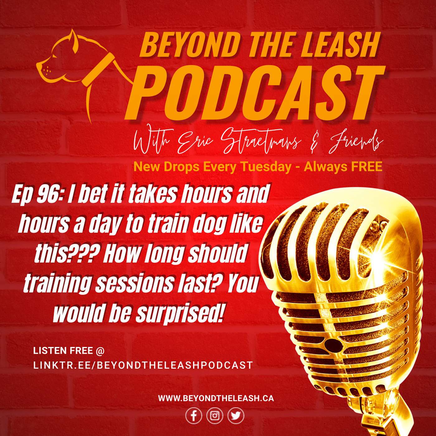 Ep 96: I bet it takes hours and hours a day to train dog like this??? How long should training sessions last? You would be surprised!