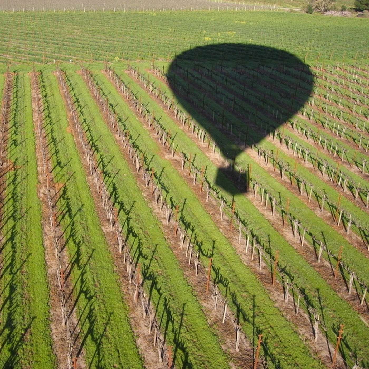 Valentine's Day episode - Our Greatest Romantic Disasters Valentine's Day episode - Our Greatest Romantic Disasters