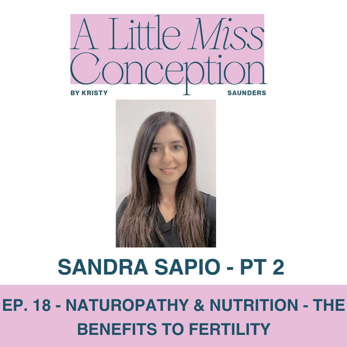 Ep. 18 - Sandra Sapio - Pt 2 - Naturopathy & Nutrition & the benefits to fertility episode artwork