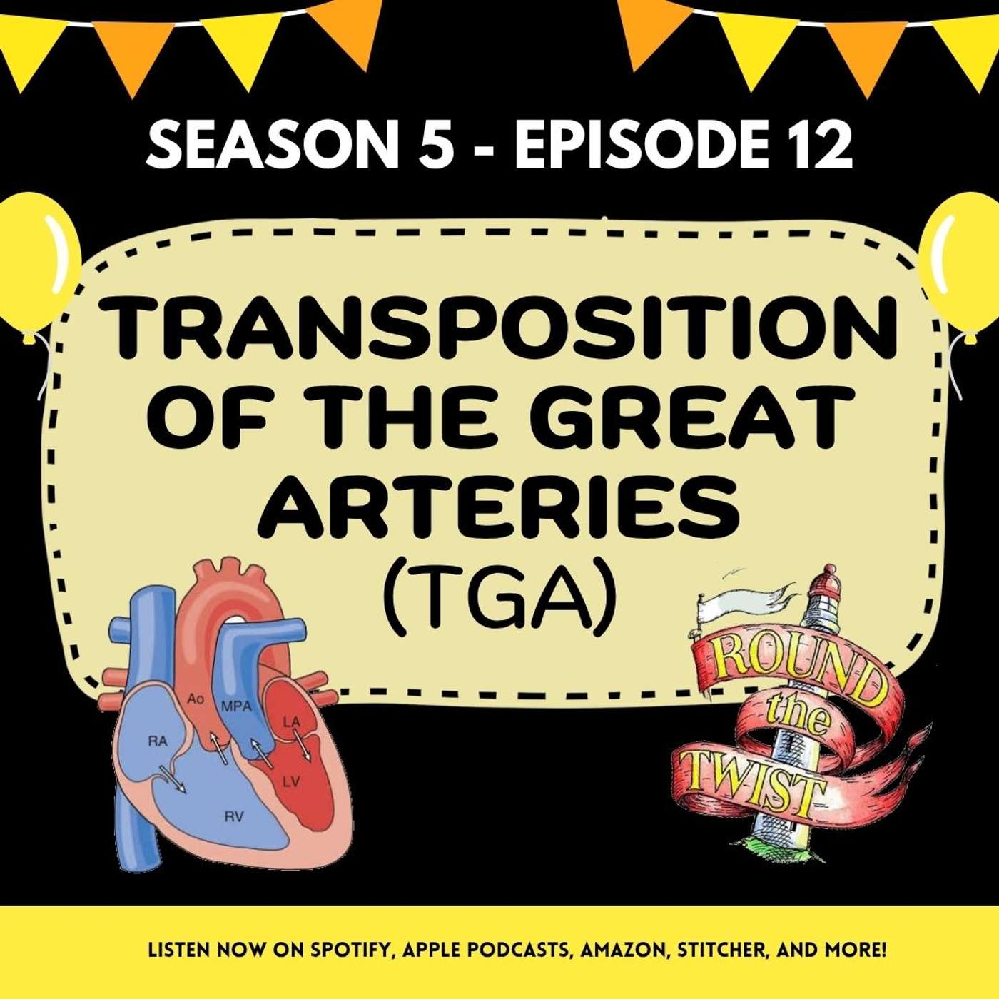 S5 - Ep 12 - Transposition of the Great Arteries - Going Around the Twist S5 - Ep 12 - Transposition of the Great Arteries - Going Around the Twist