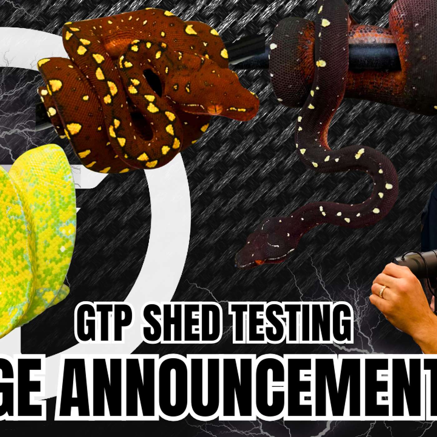 What Is Happening With Green Tree Python Sheds... HUGE ANNOUNCEMENT! | Trap Talk With MJ (Live)