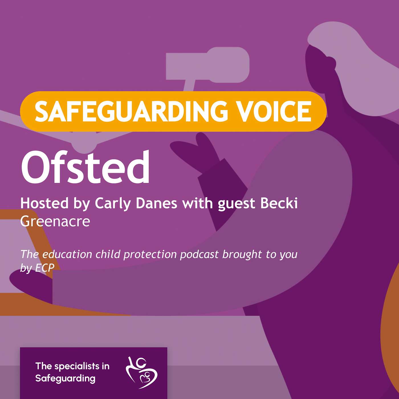 Safeguarding Voice