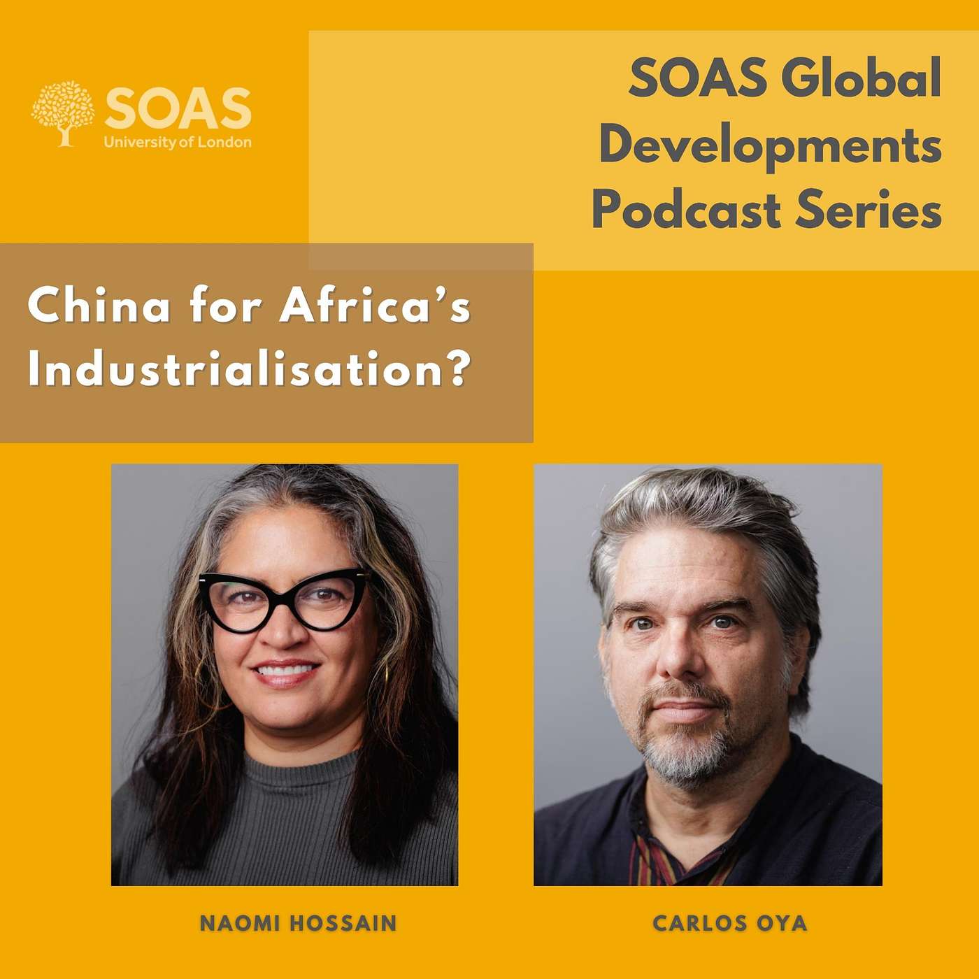 #8. China for African industrialization? episode artwork