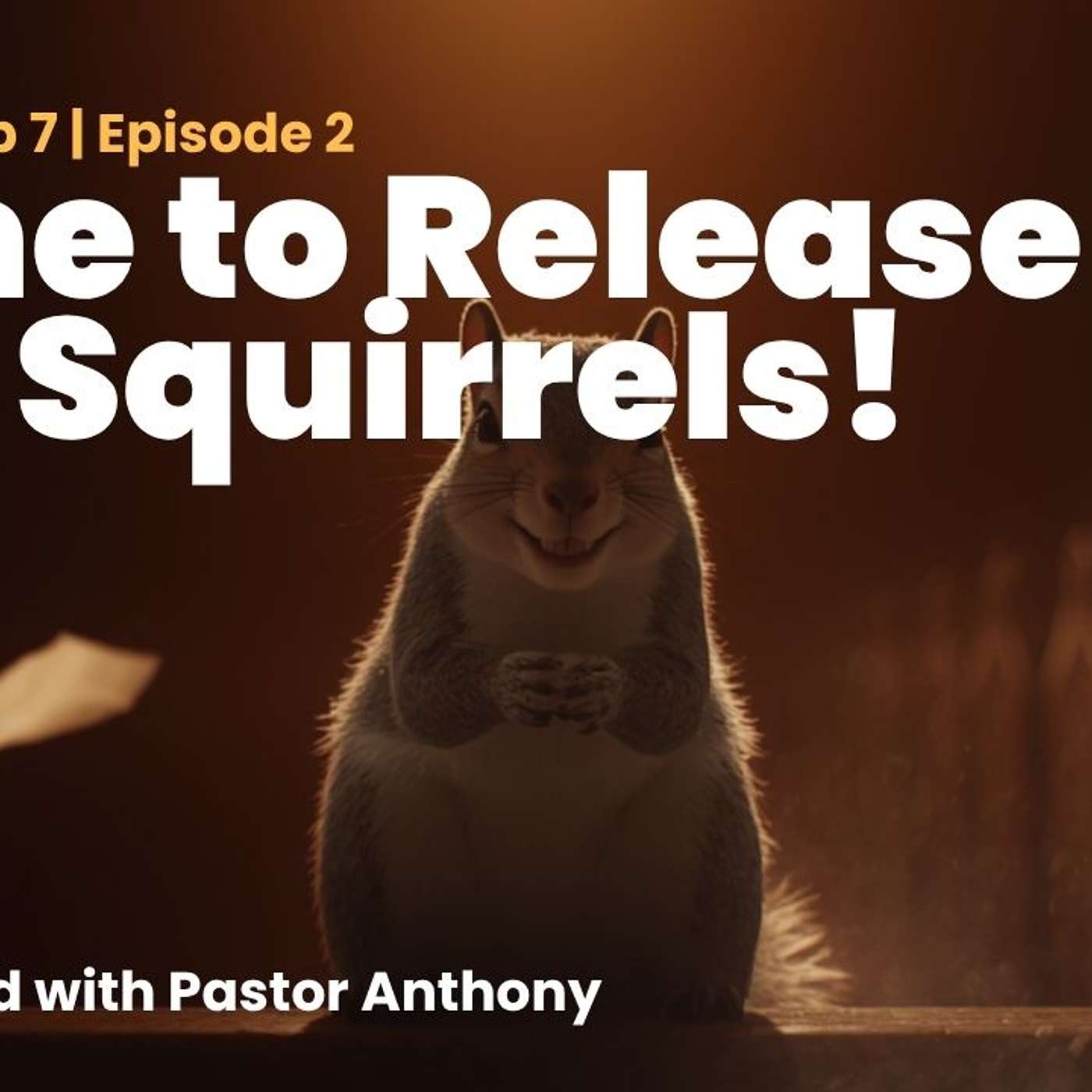 Time to Release the Squirrels. episode artwork