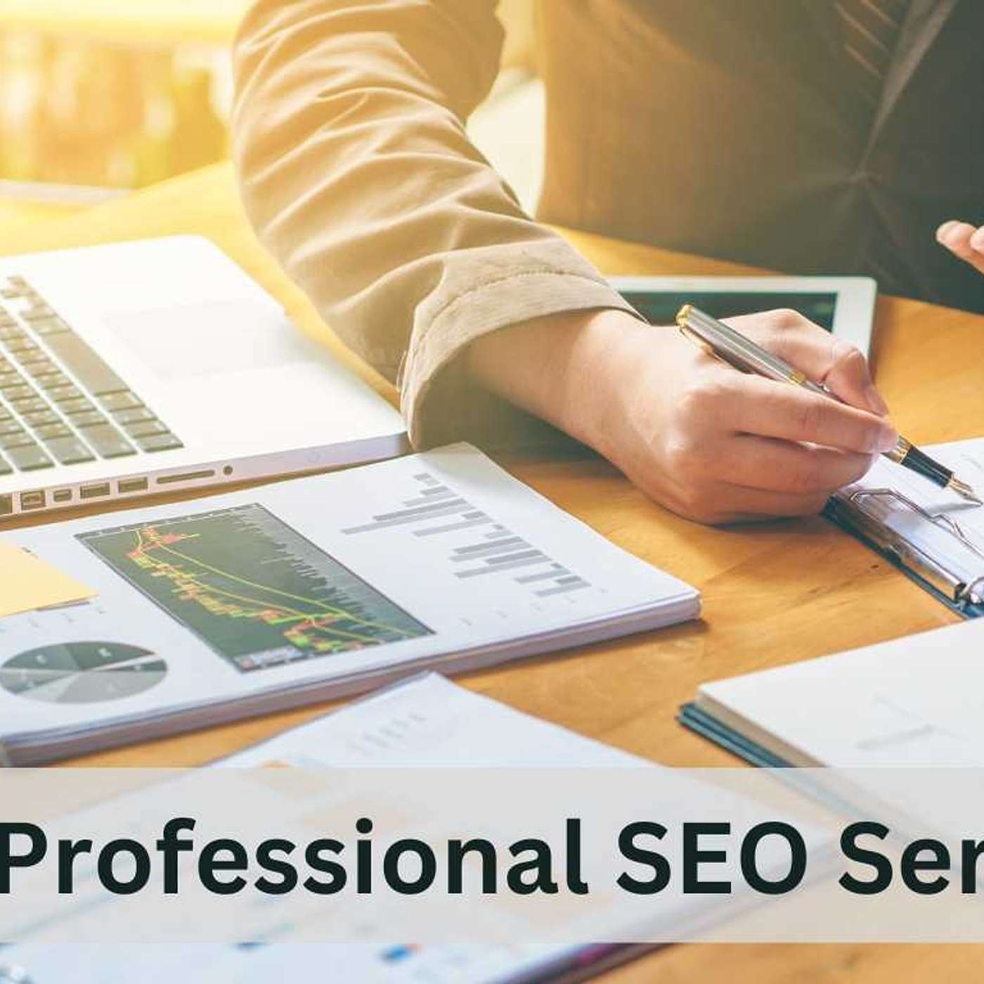 Maximize Your Online Success: Professional SEO Services India Unleashed!