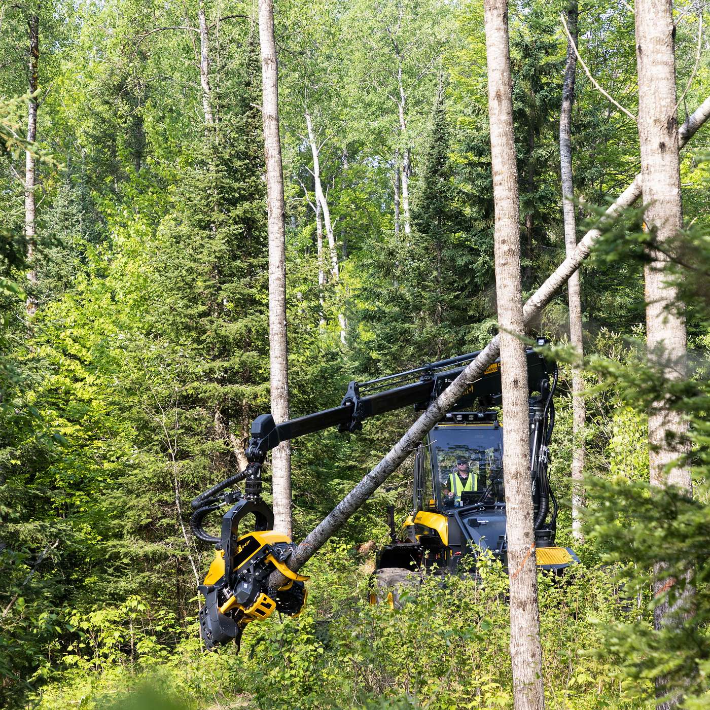 S.1 Ep.3: Failure Is Not an Option