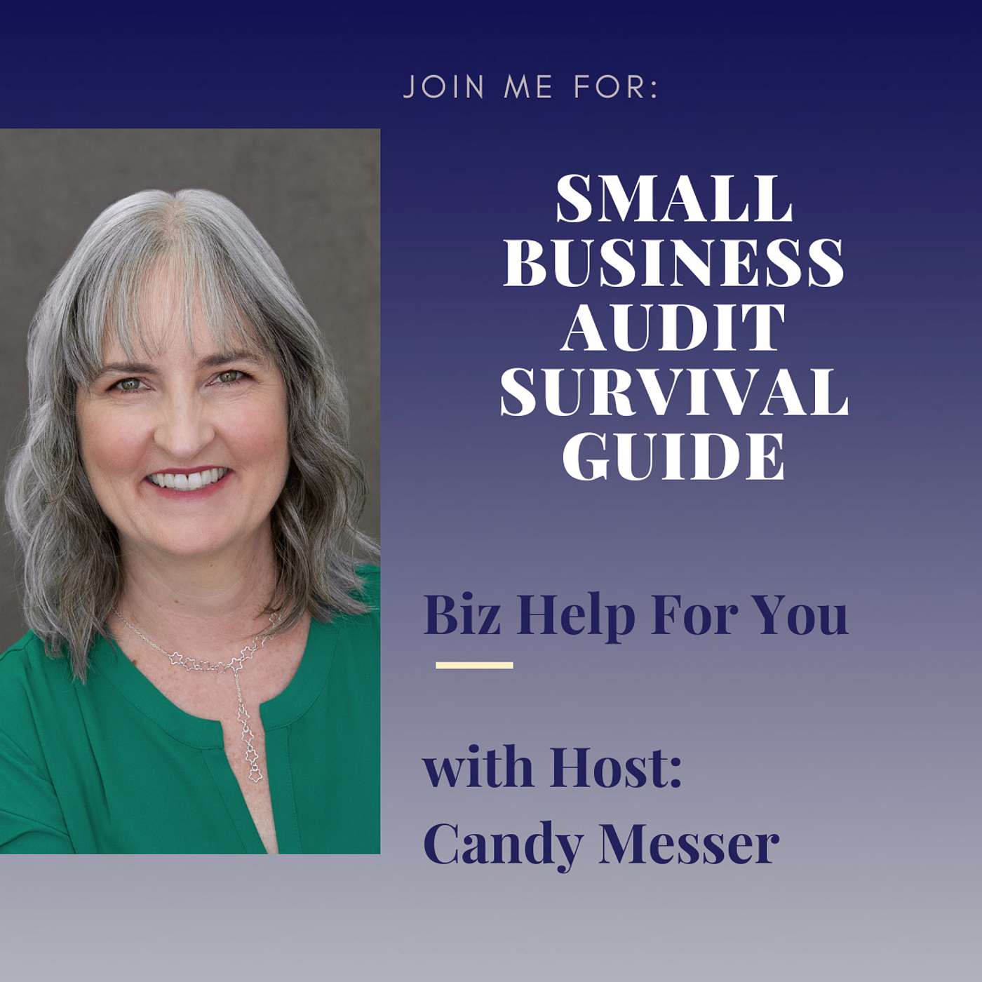 Small Business Audit Survival Guide with Candy Messer