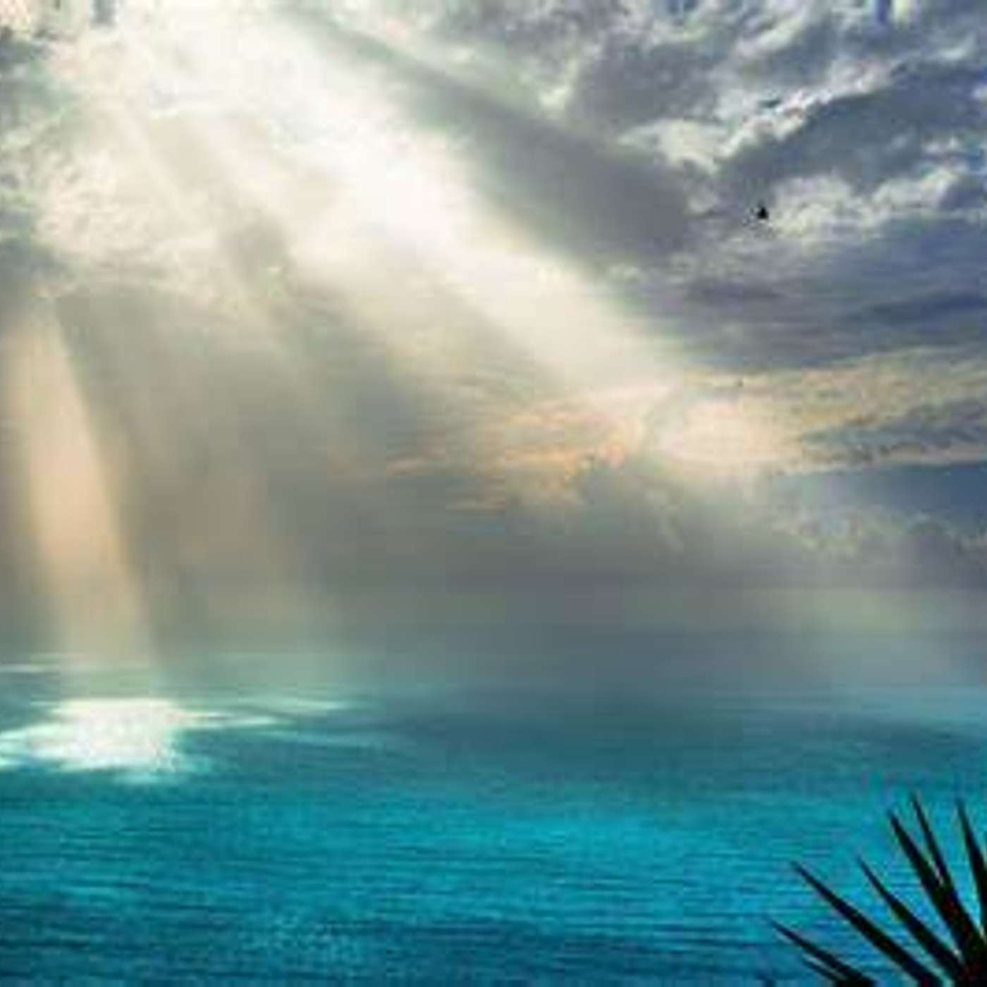 Meditation #5: Color Light Stream