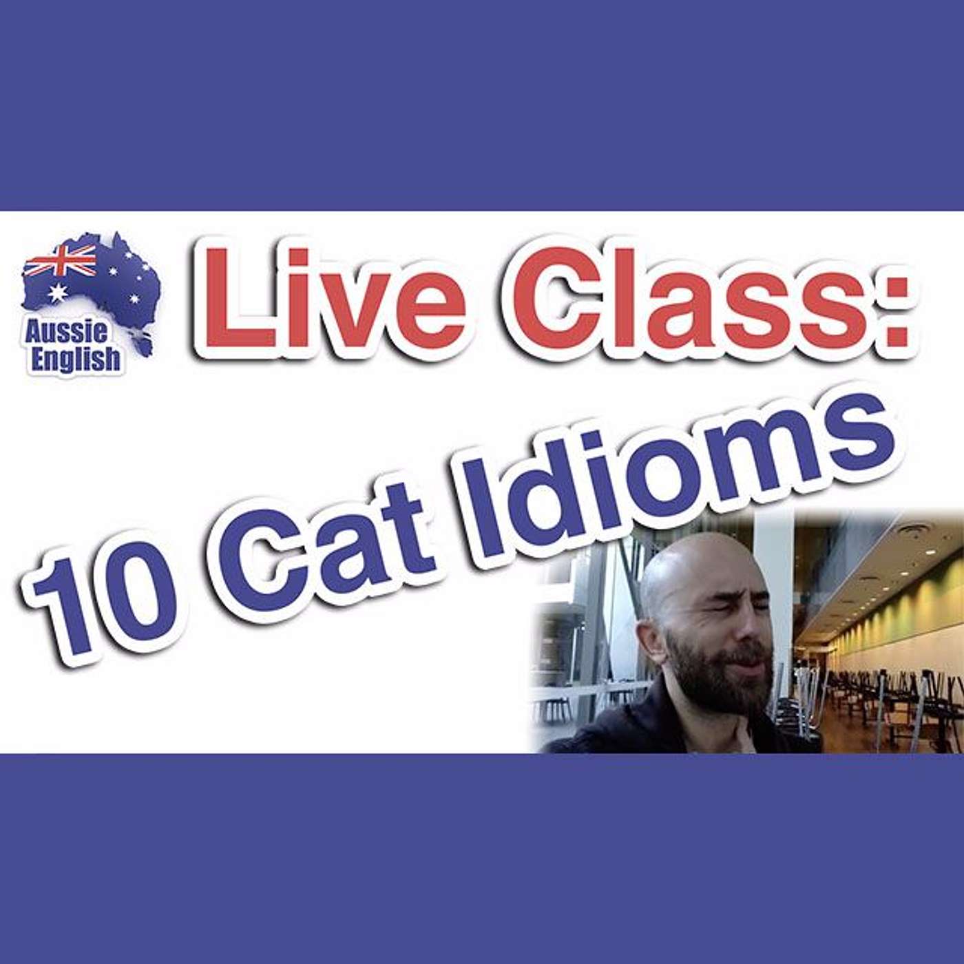 AE 288 - Live Class: 10 Cat Idioms
