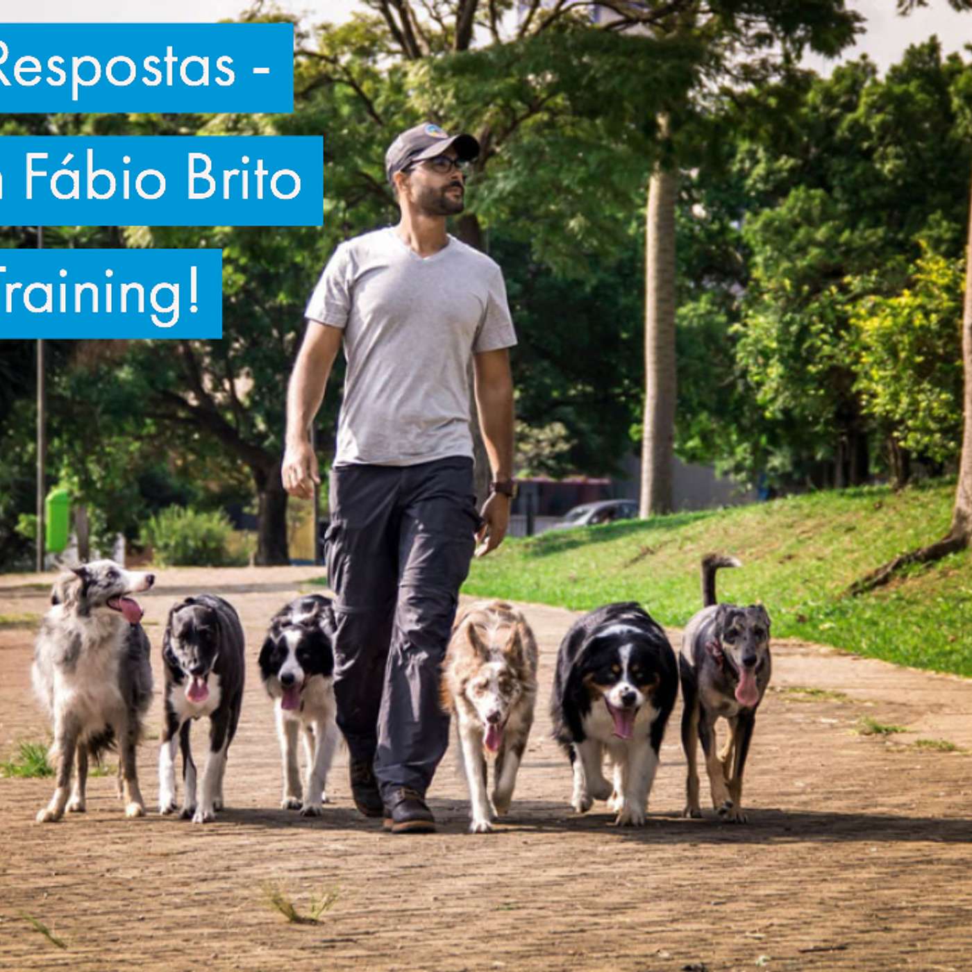 Perguntas e Respostas - Especial com Fábio Brito da DogBio Training!
