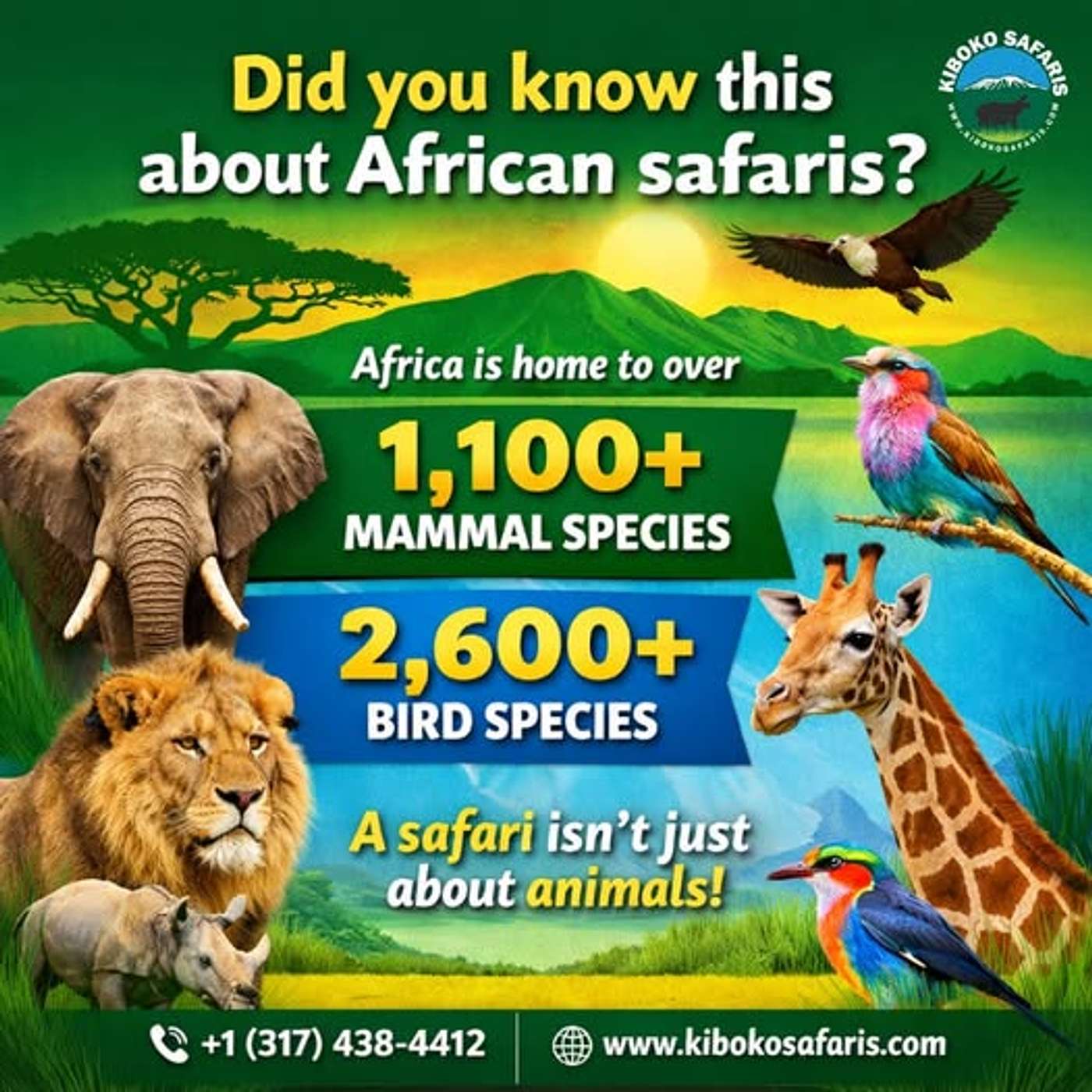 Did you know this about African safaris episode artwork