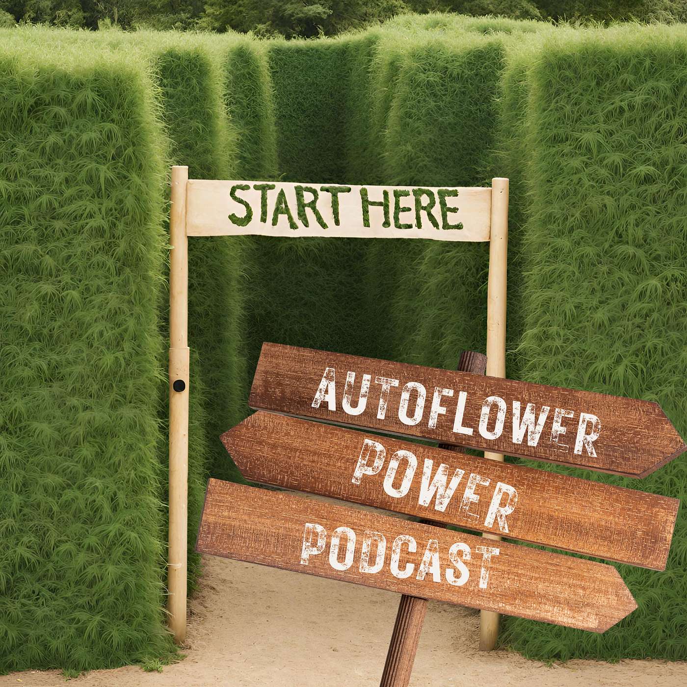 On Preparing For Your First Grow - Start Here: A Beginner's Guide