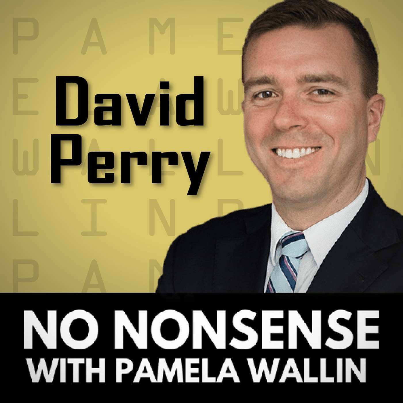 Canada's Defence Role in Ukraine with David Perry