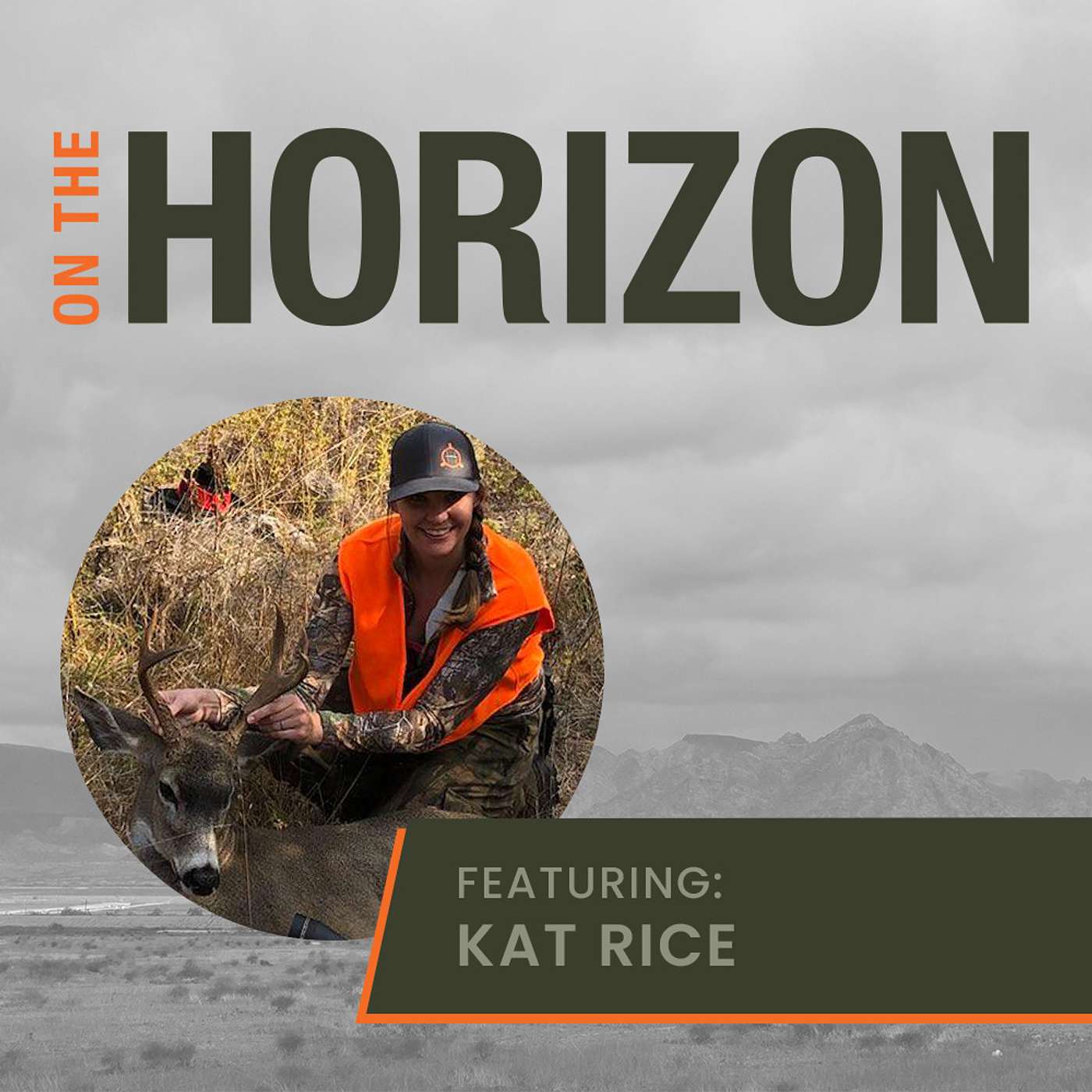 On the Horizon