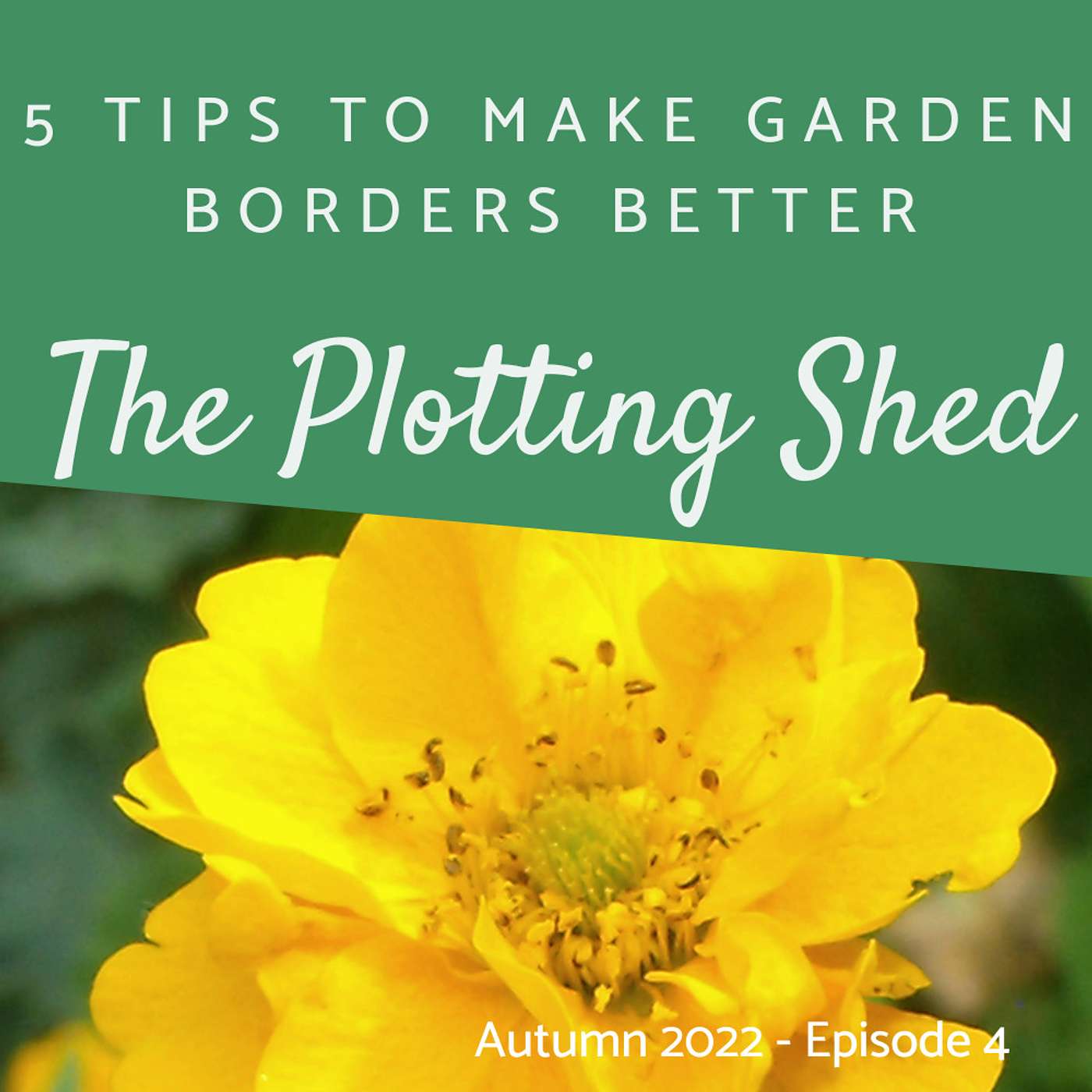 5 Top Tips to make Garden Borders Better