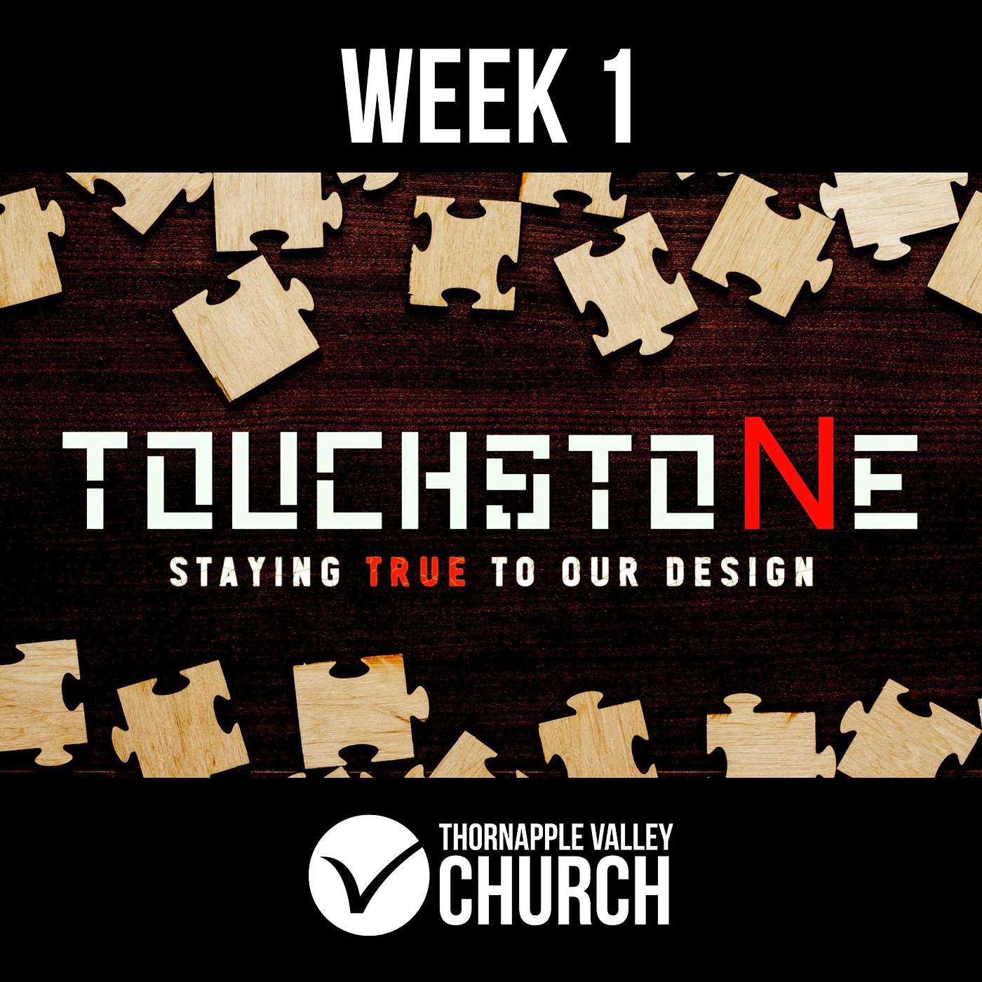 Thornapple Valley Church