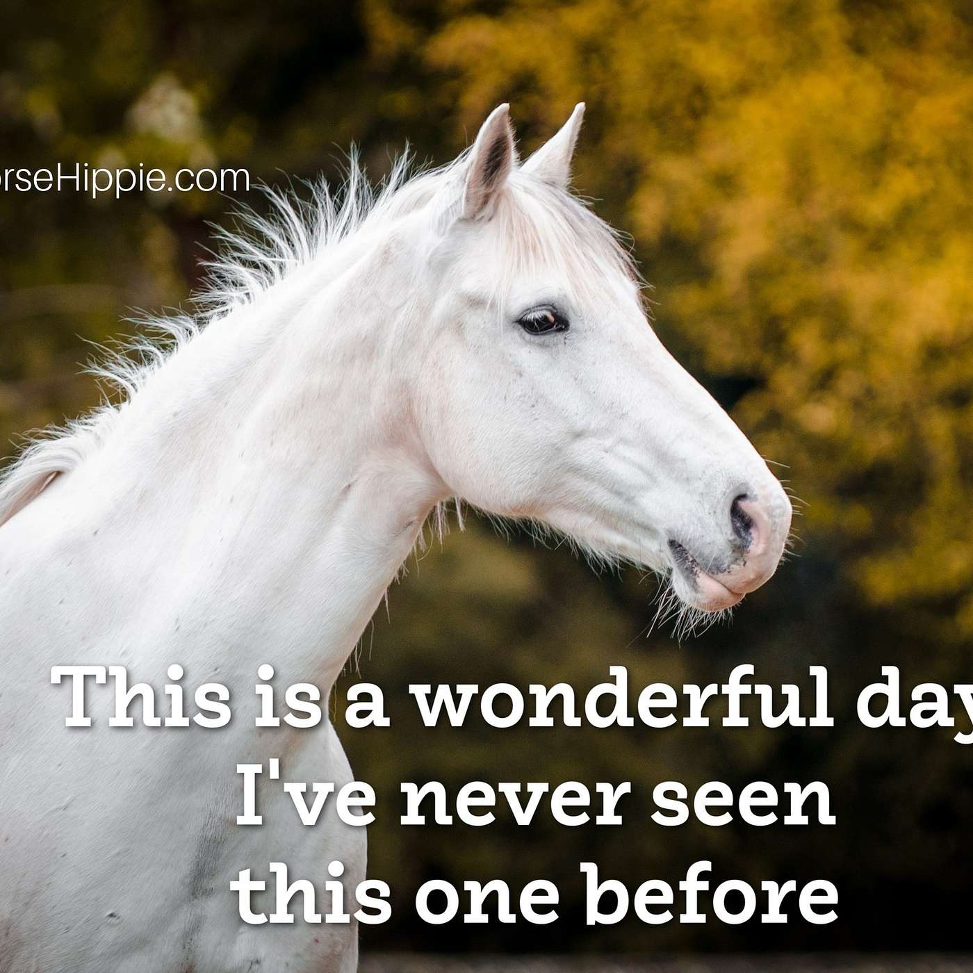 Today is a Brand New Day