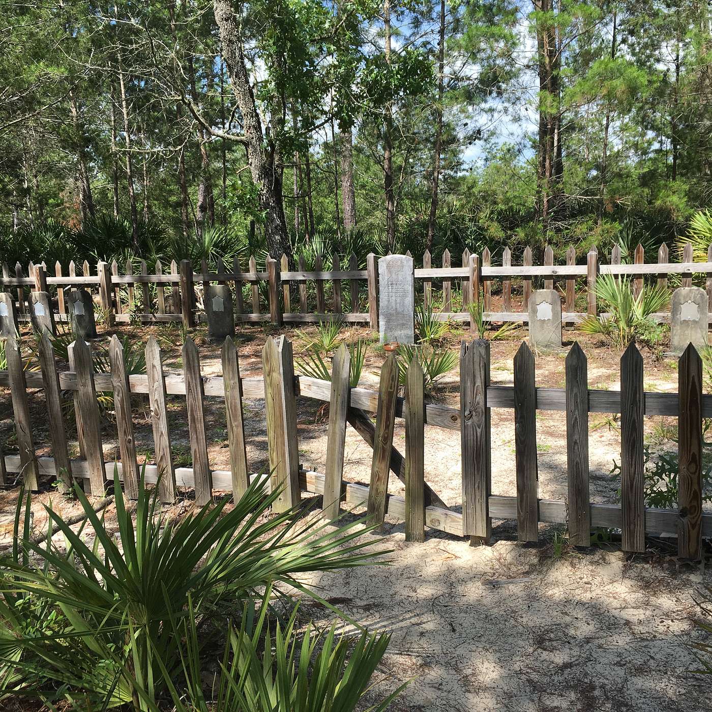 Ocala National Forest:  Trails, Springs, Fun, and History