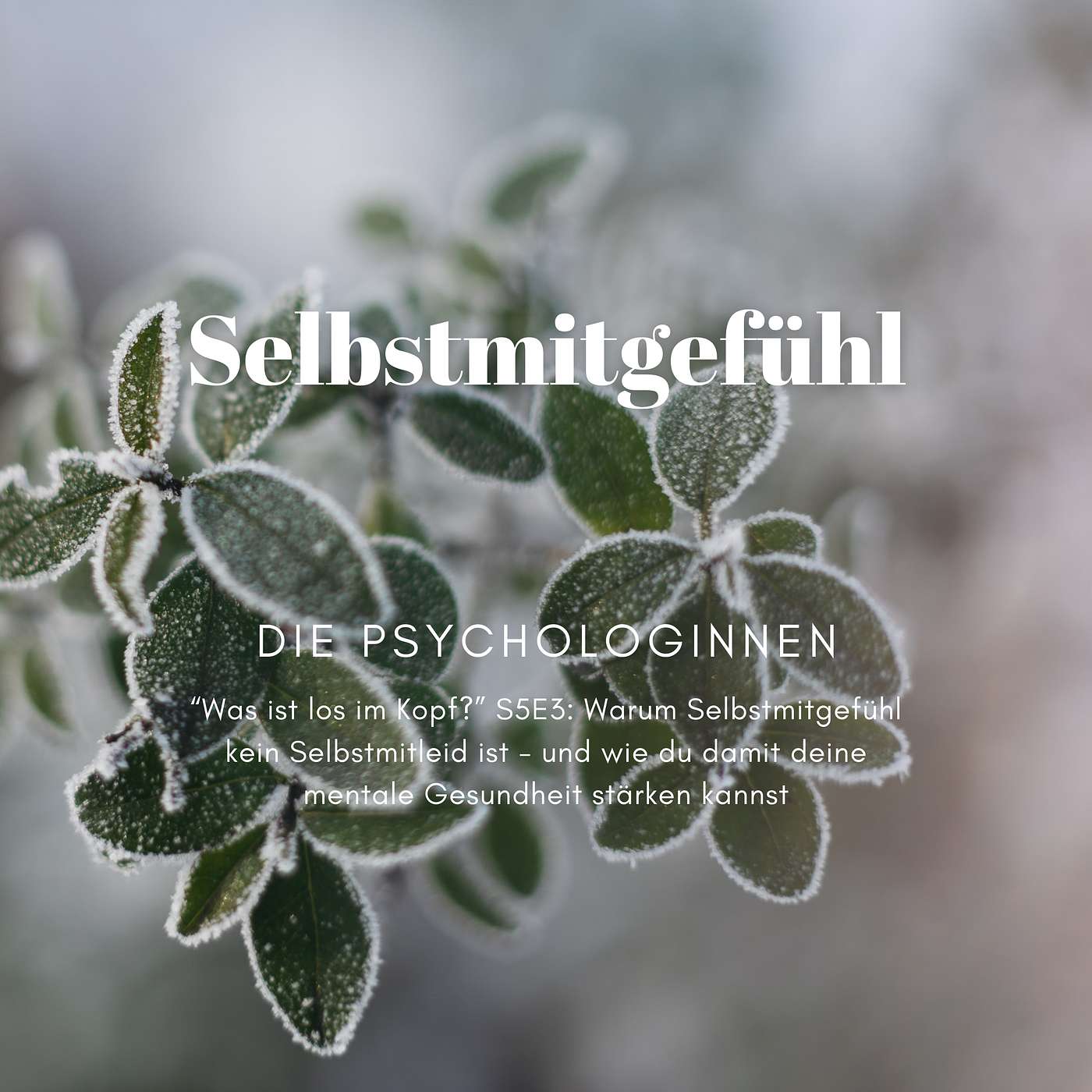 Die Psychologinnen: Was ist los im Kopf?