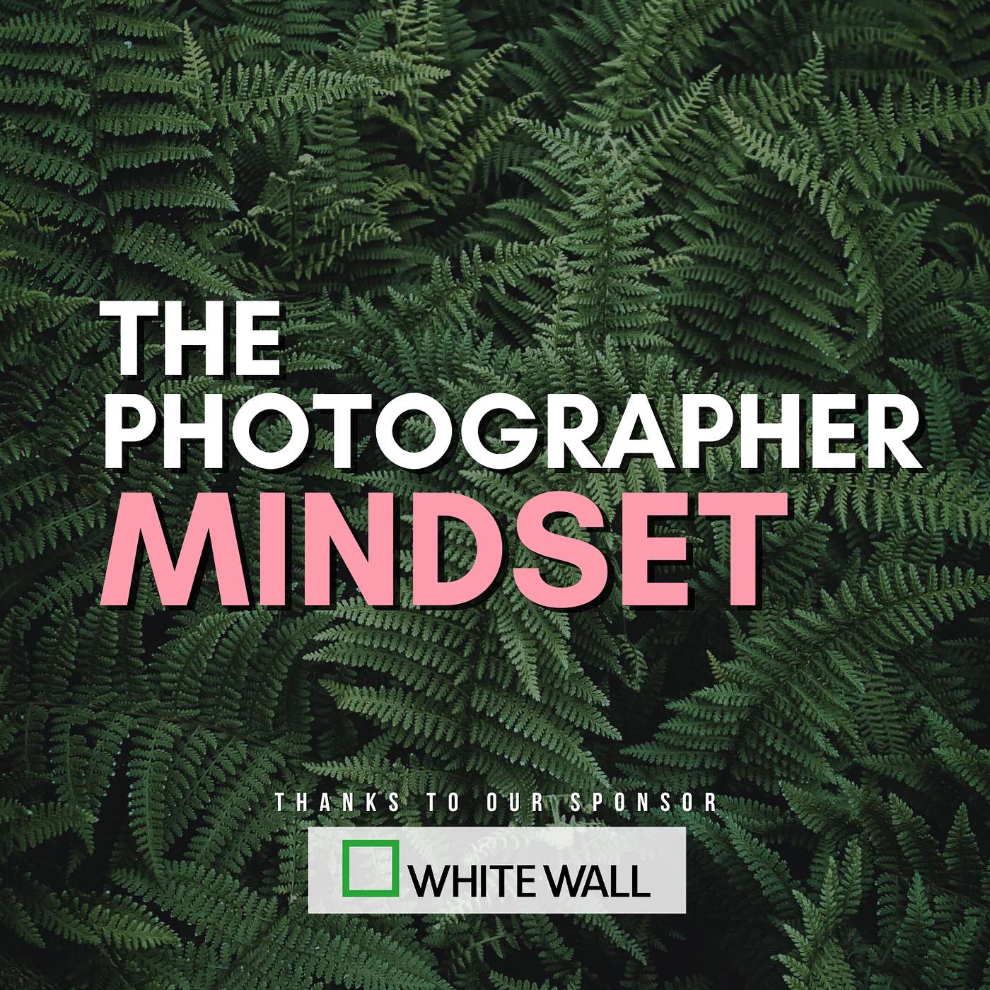 The Photographer Mindset
