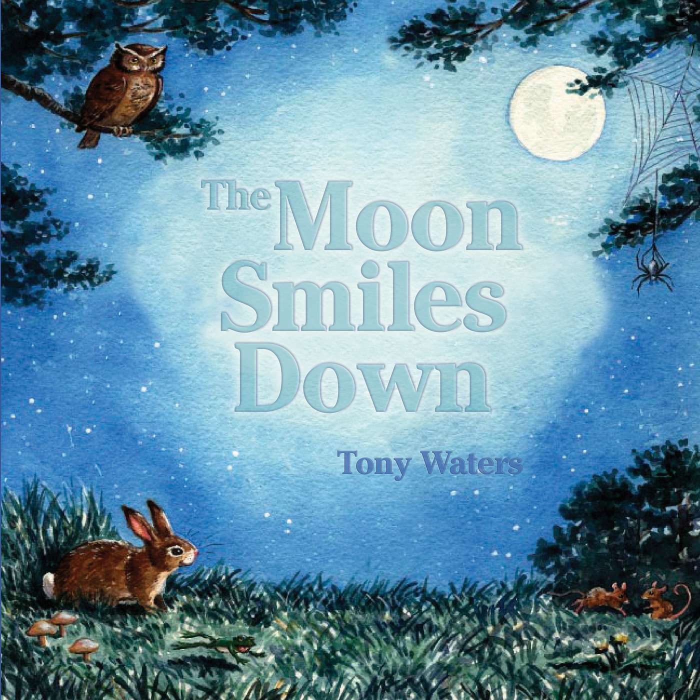 Episode 11: The Moon Smiles Down by Tony Waters (Picture Book Bedtime Story)/Narrated by Henrietta Meire episode artwork