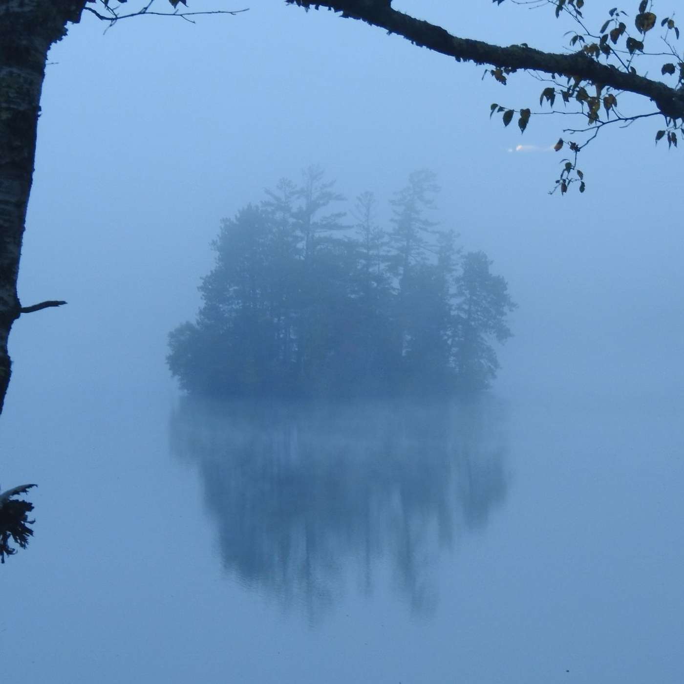 REFLECTIONS