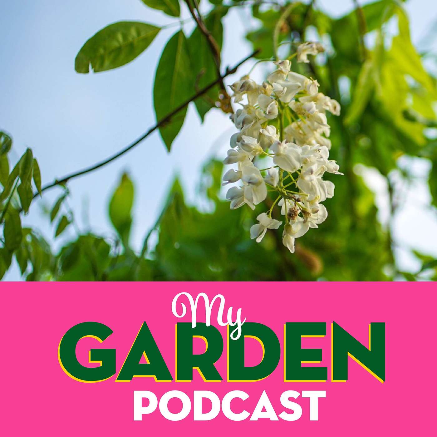 My Garden Podcast - Gardening Podcast