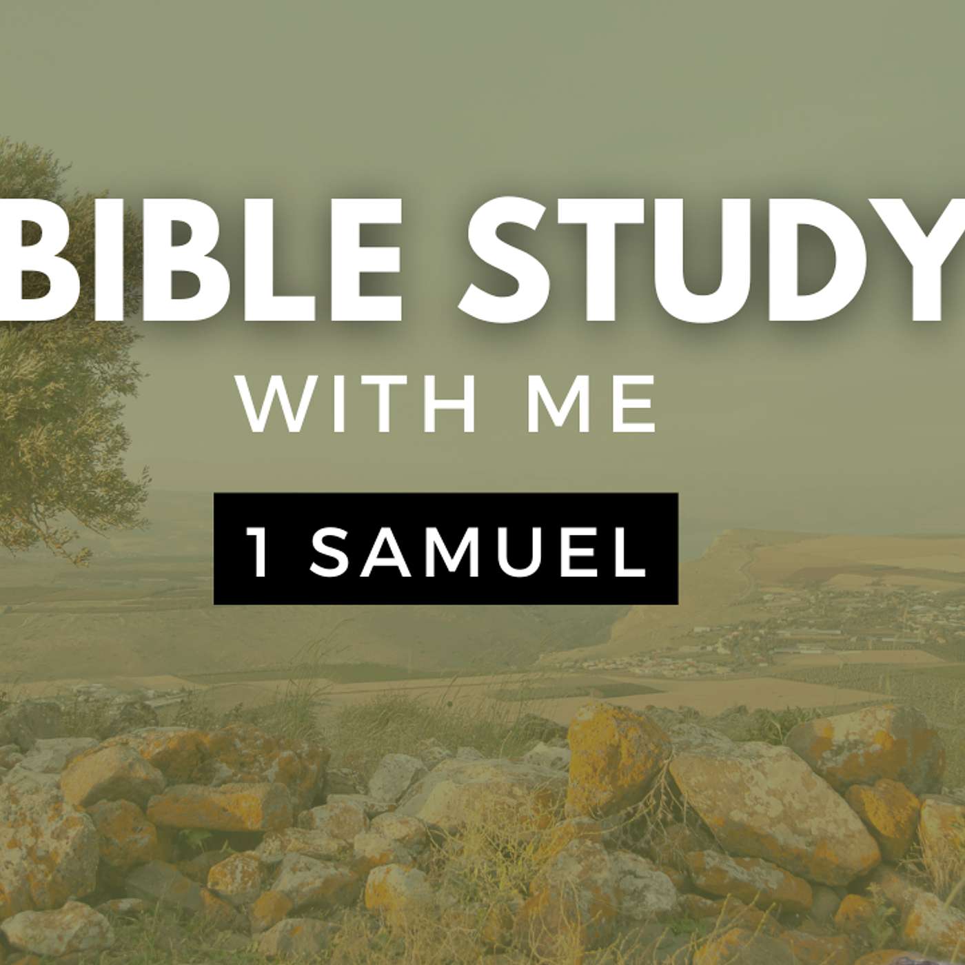 1 Samuel 31 | How Did King Saul Die In The Bible? [Bible Study WITH ME] episode artwork