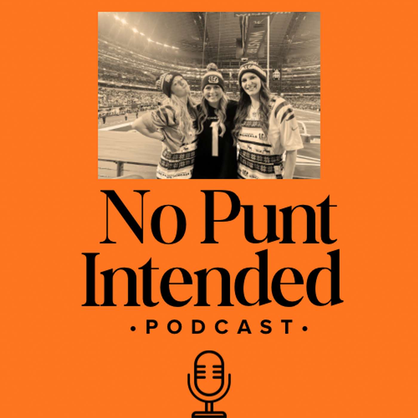 No Punt Intended cover art