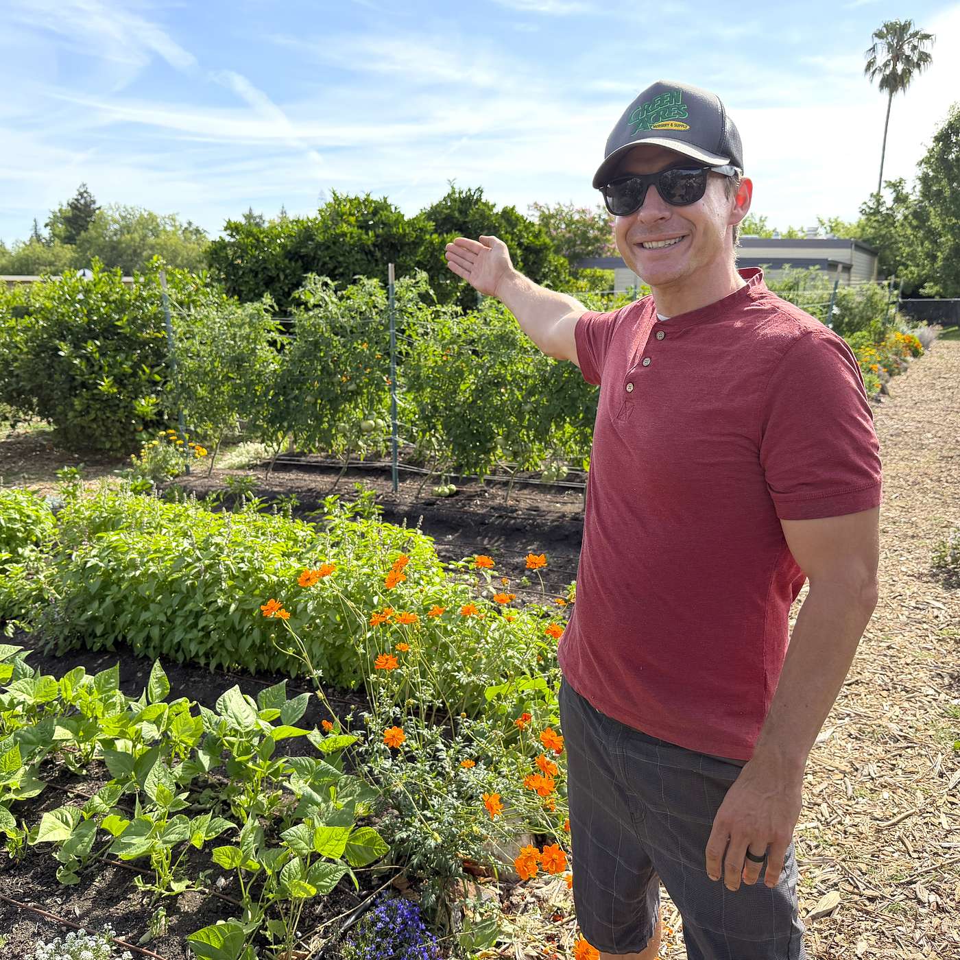 3 Steps to Garden Success in Zone 9B episode artwork